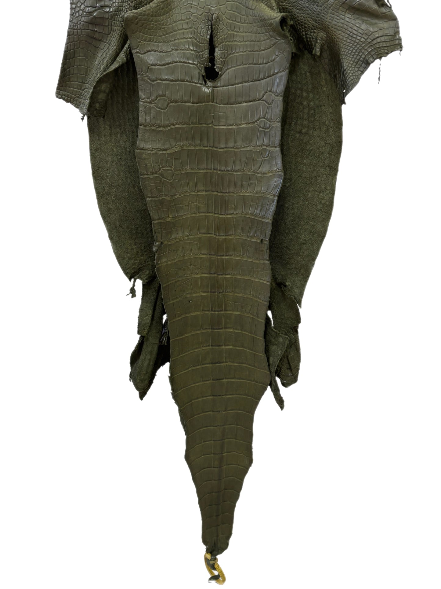 42 cm Grade 3/4 Olive Matte Wild American Alligator Leather - Tag: LA23-0022115