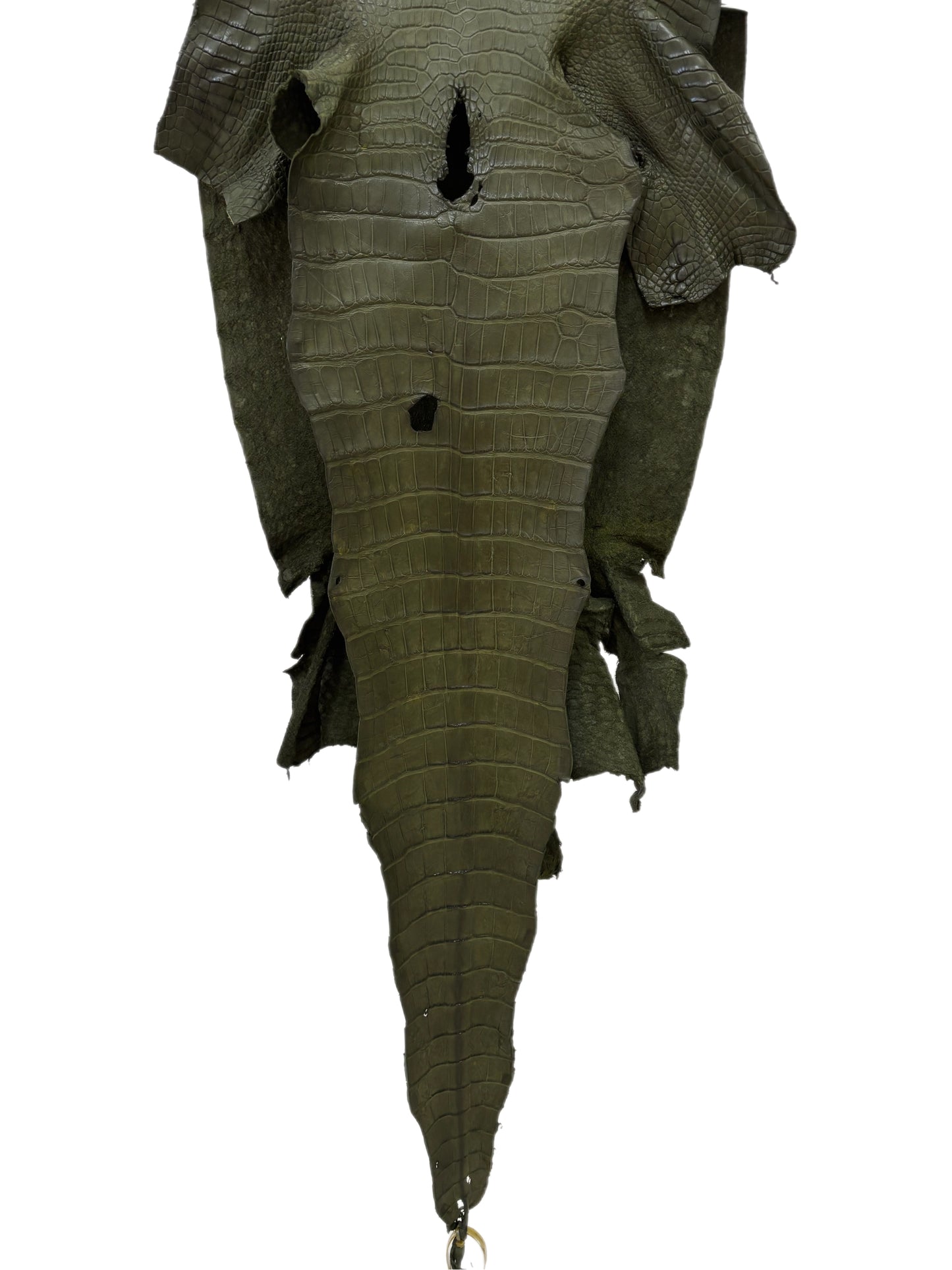 41 cm Grade 2/3 Olive Matte Wild American Alligator Leather - Tag: LA23-0030836