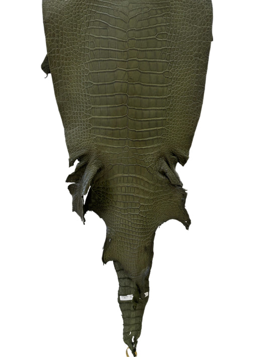 41 cm Grade 2/3 Olive Matte Wild American Alligator Leather - Tag: LA23-0030836