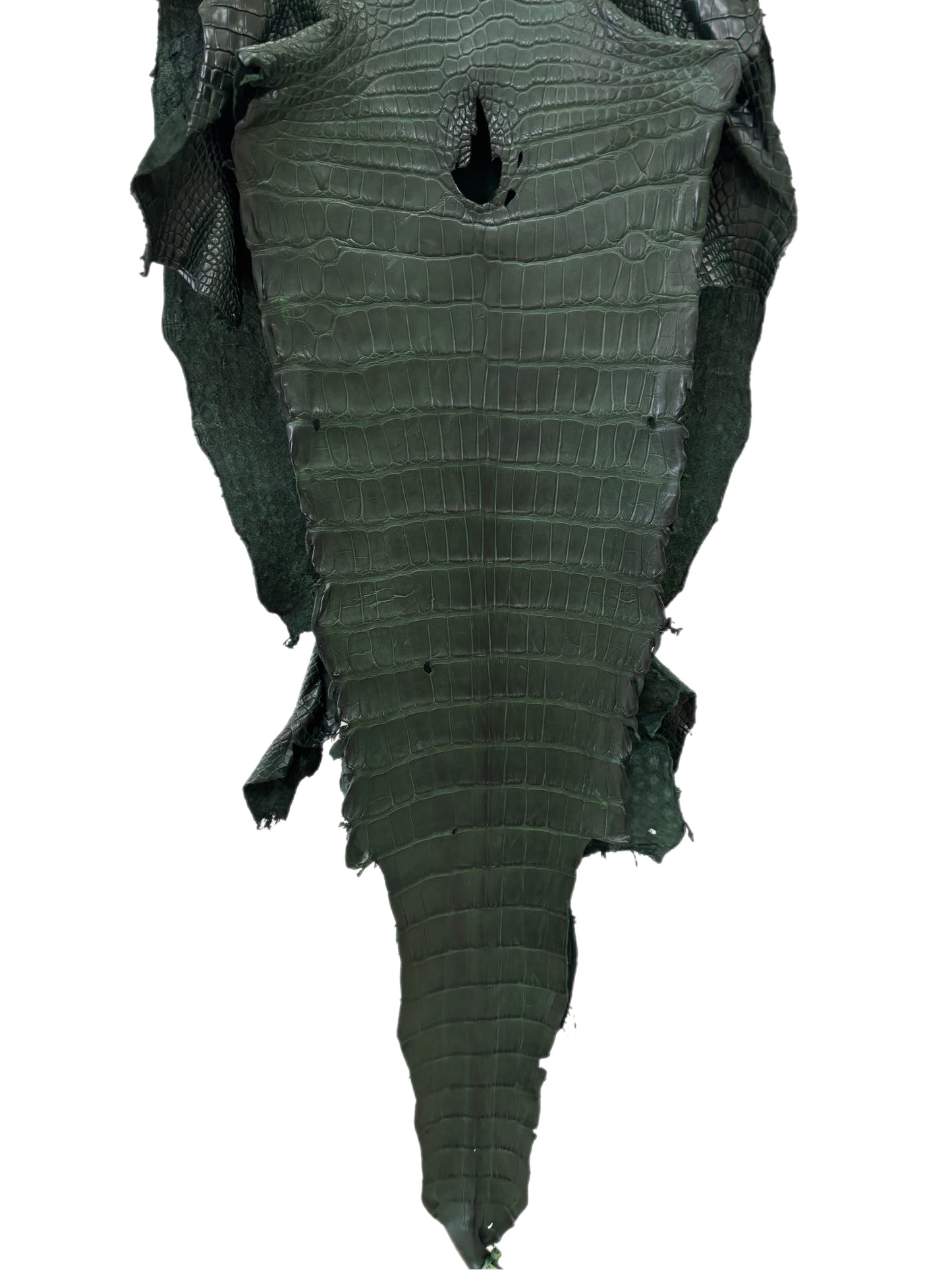 39 cm Grade 2/3 Forest Green Matte Wild American Alligator Leather - Tag: LA23-0020919
