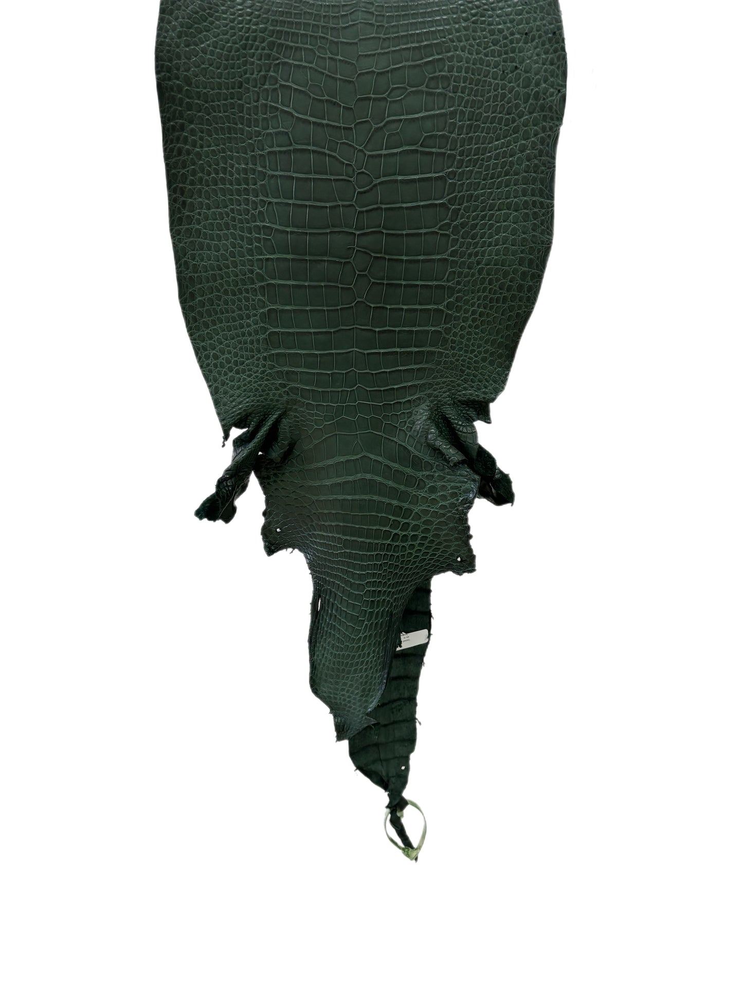 33 cm Grade 2/3 Forest Green Matte Wild American Alligator Leather - Tag: LA23-0002027