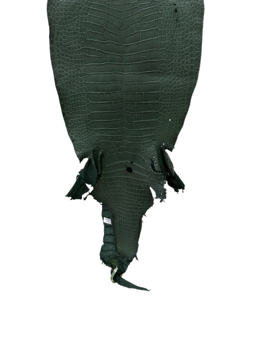 36 cm Grade 2/3 Forest Green Matte Wild American Alligator Leather - Tag: LA23-0048161