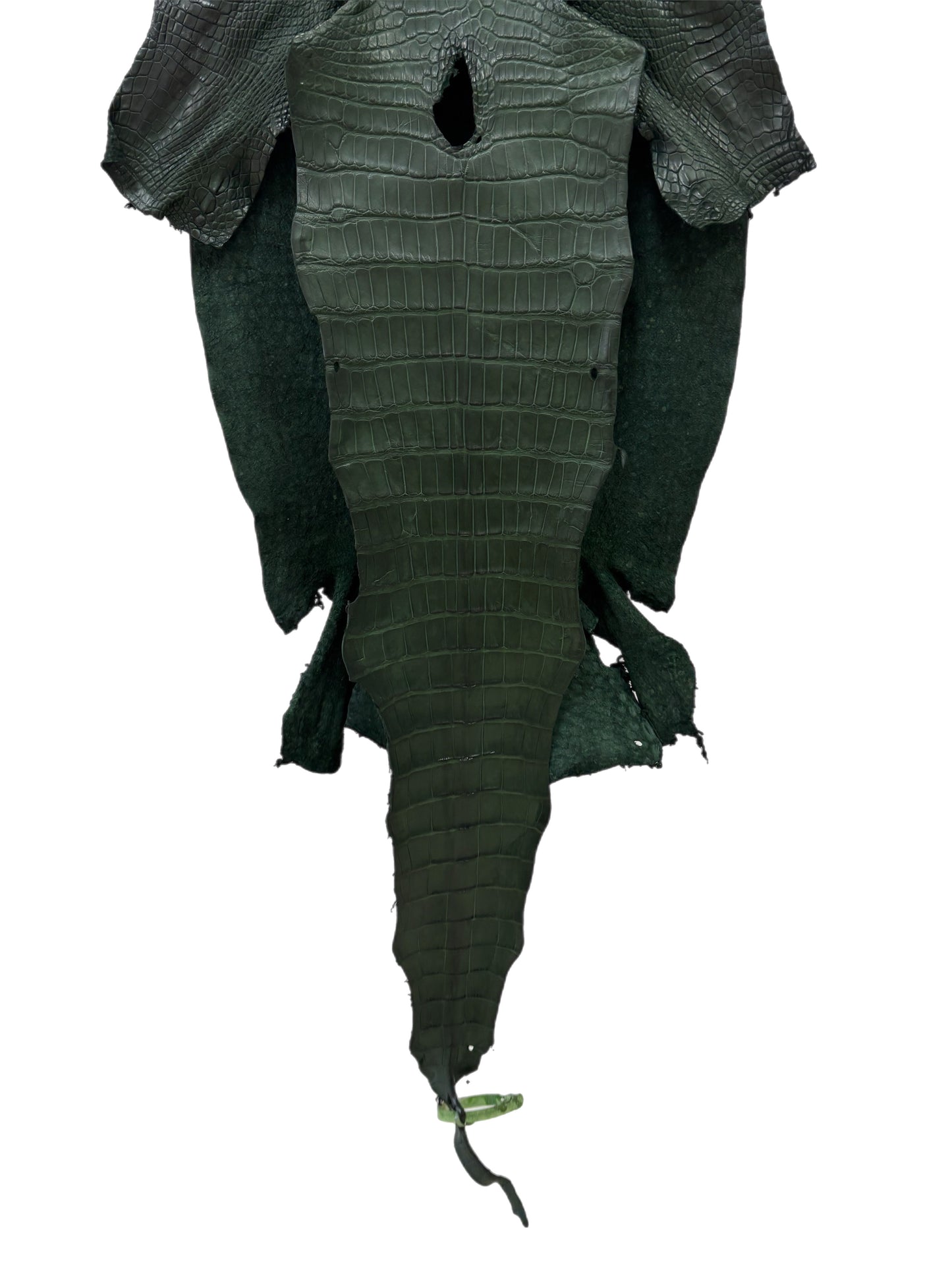 39 cm Grade 2/3 Forest Green Matte Wild American Alligator Leather - Tag: LA23-0033909