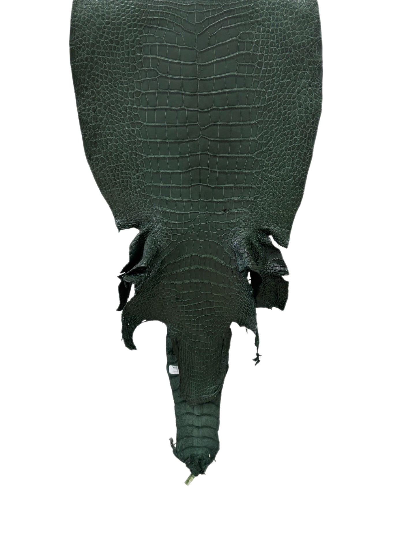 36 cm Grade 2/3 Forest Green Matte Wild American Alligator Leather - Tag: LA23-0001055