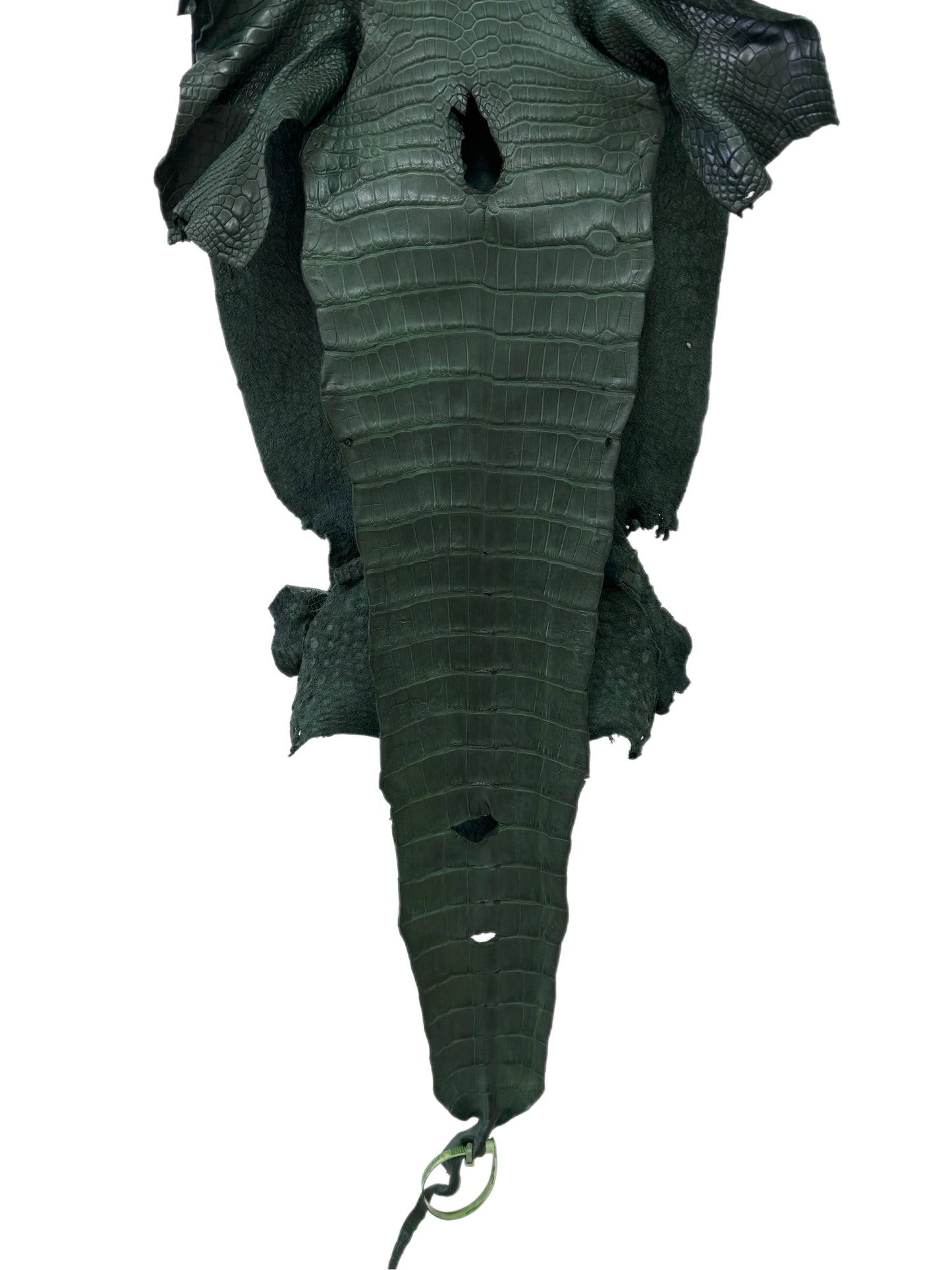 37 cm Grade 1/2 Forest Green Matte Wild American Alligator Leather - Tag: LA23-0021534