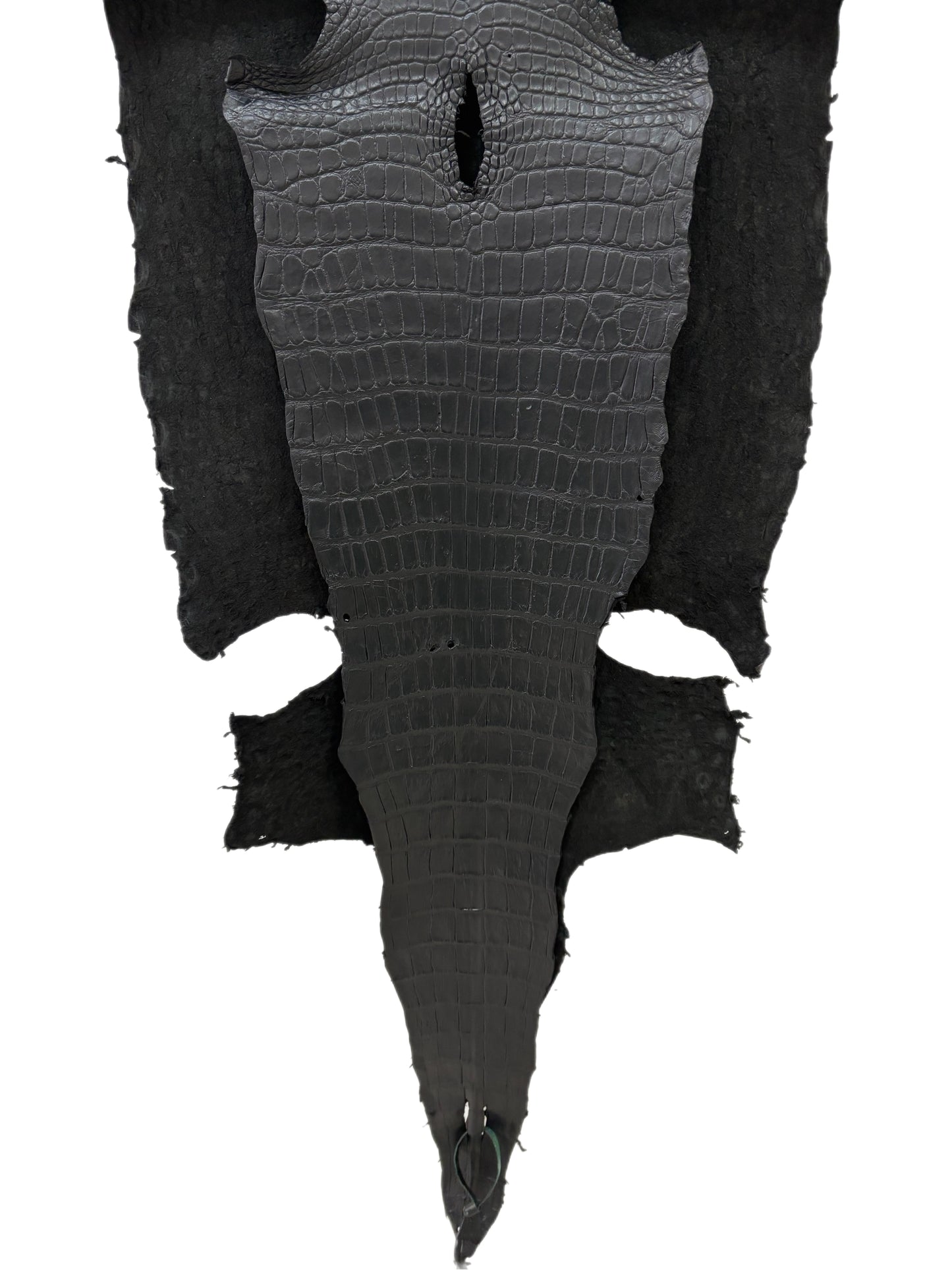 50 cm Grade 4/5 Black Matte Wild American Alligator Leather - Tag: LA22-0020979