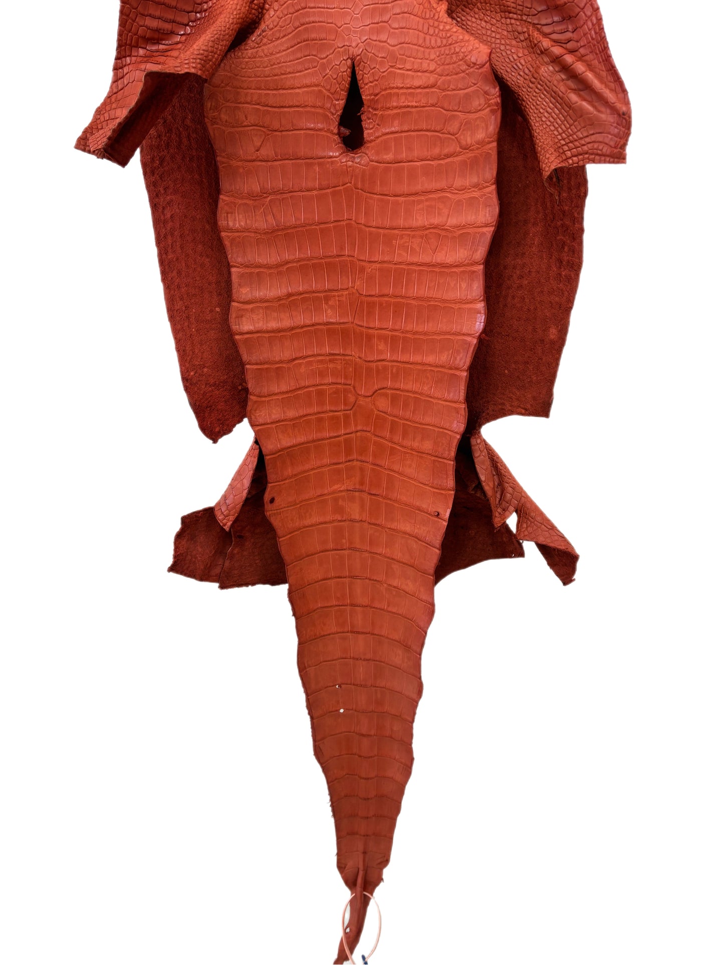 38 cm Grade 2/3 Pumpkin Matte Wild American Alligator Leather - Tag: LA18-0011940