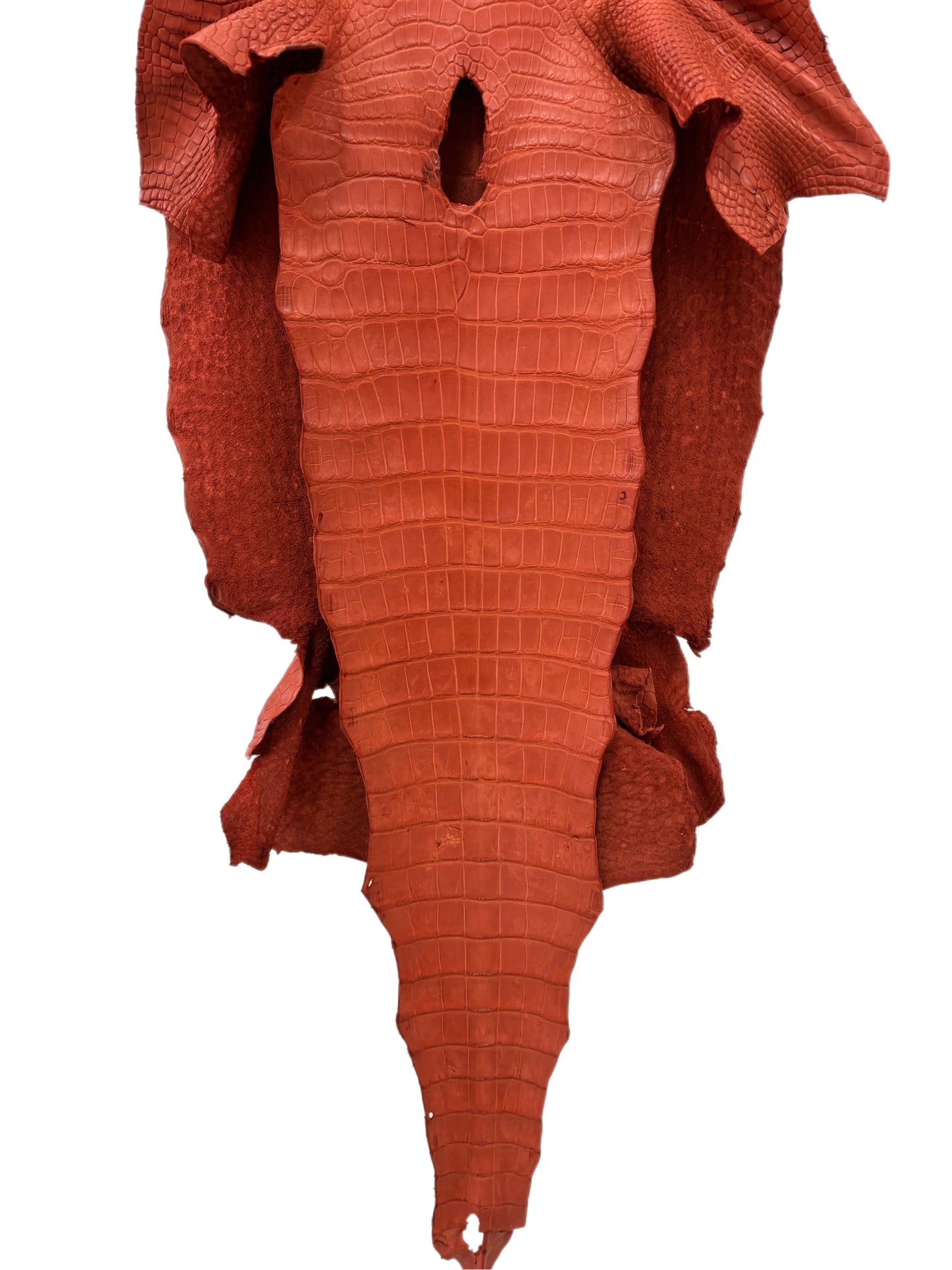 42 cm Grade 2/3 Pumpkin Matte Wild American Alligator Leather - Tag: LA18-0033097