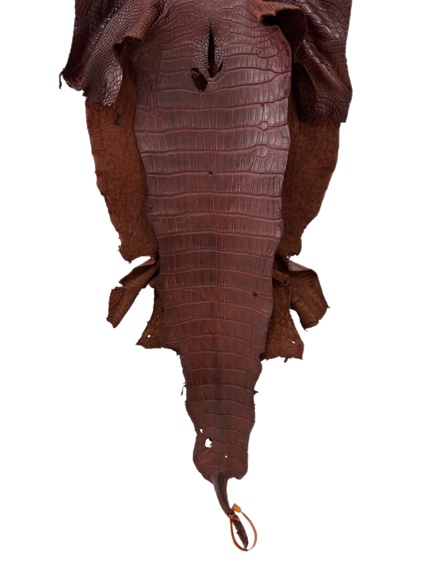 38 cm Grade 2/3 Italian Gold Matte Wild American Alligator Leather - Tag: LA23-0002949
