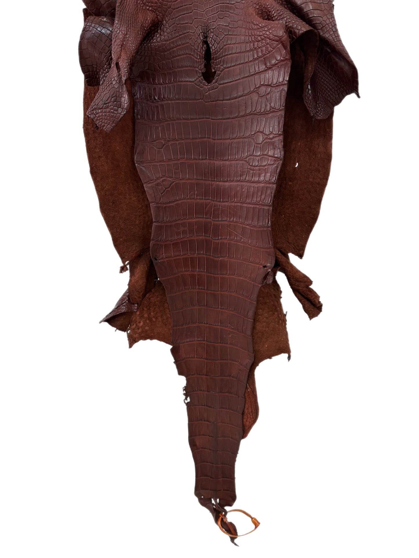 37 cm Grade 2/3 Italian Gold Matte Wild American Alligator Leather - Tag: LA23-0005988