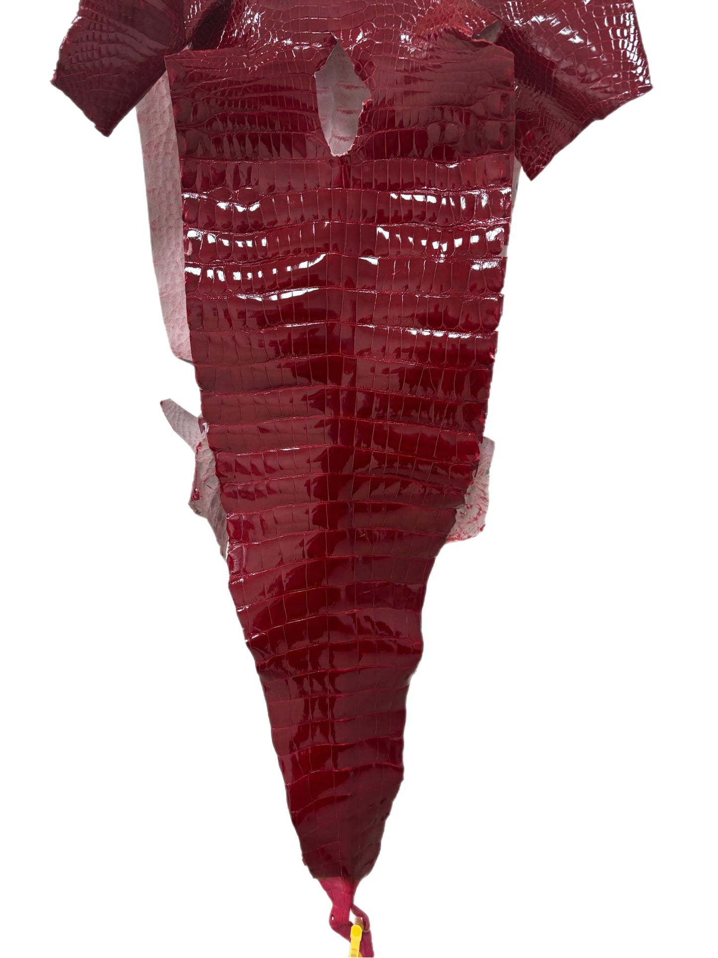 36 cm Grade 1 Red Classic Farm-Raised American Alligator Leather - Tag: LA25-0103484