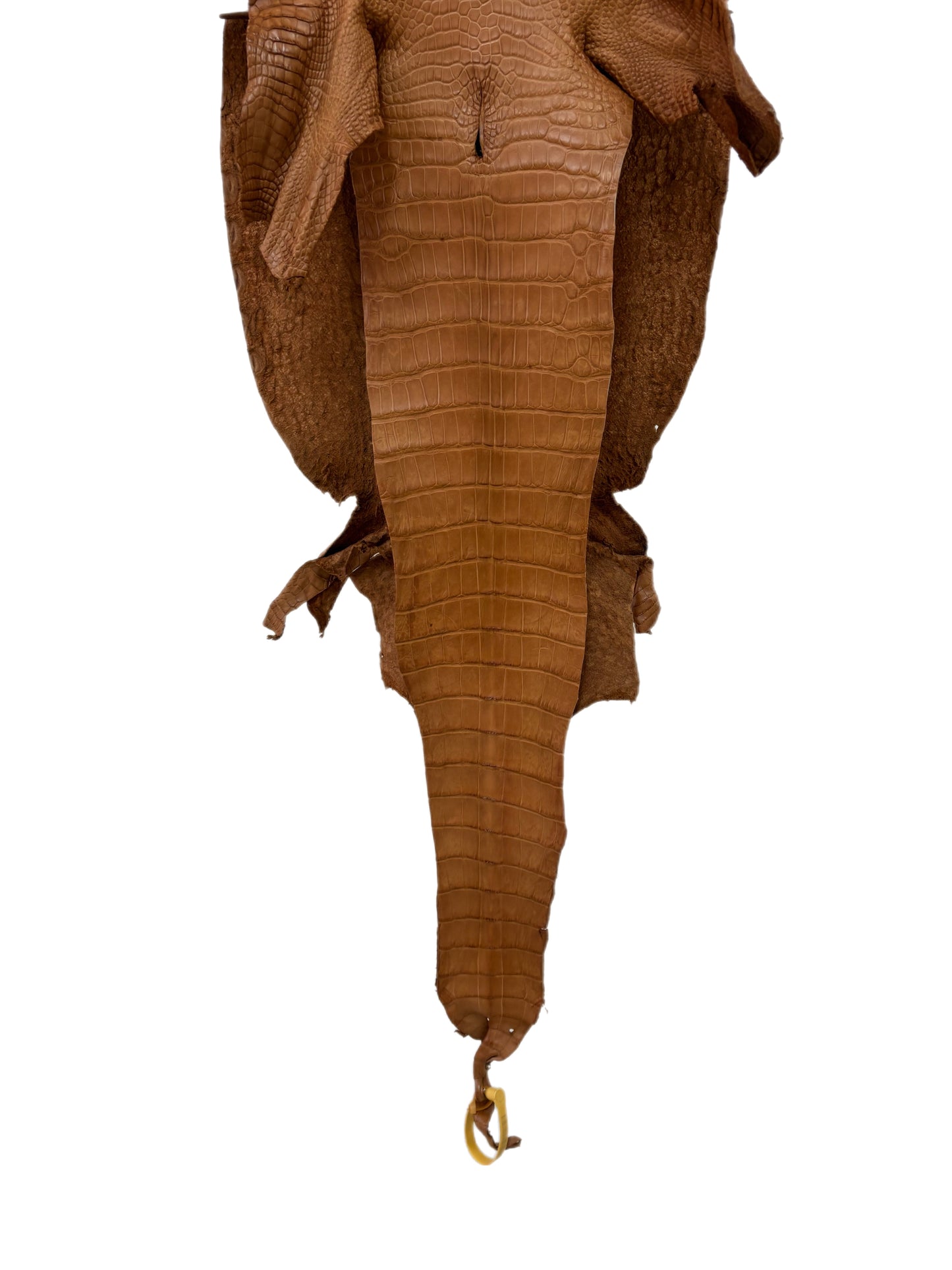 33 cm Grade 3/4 Almond Matte Wild American Alligator Leather - Tag: LA23-0049218