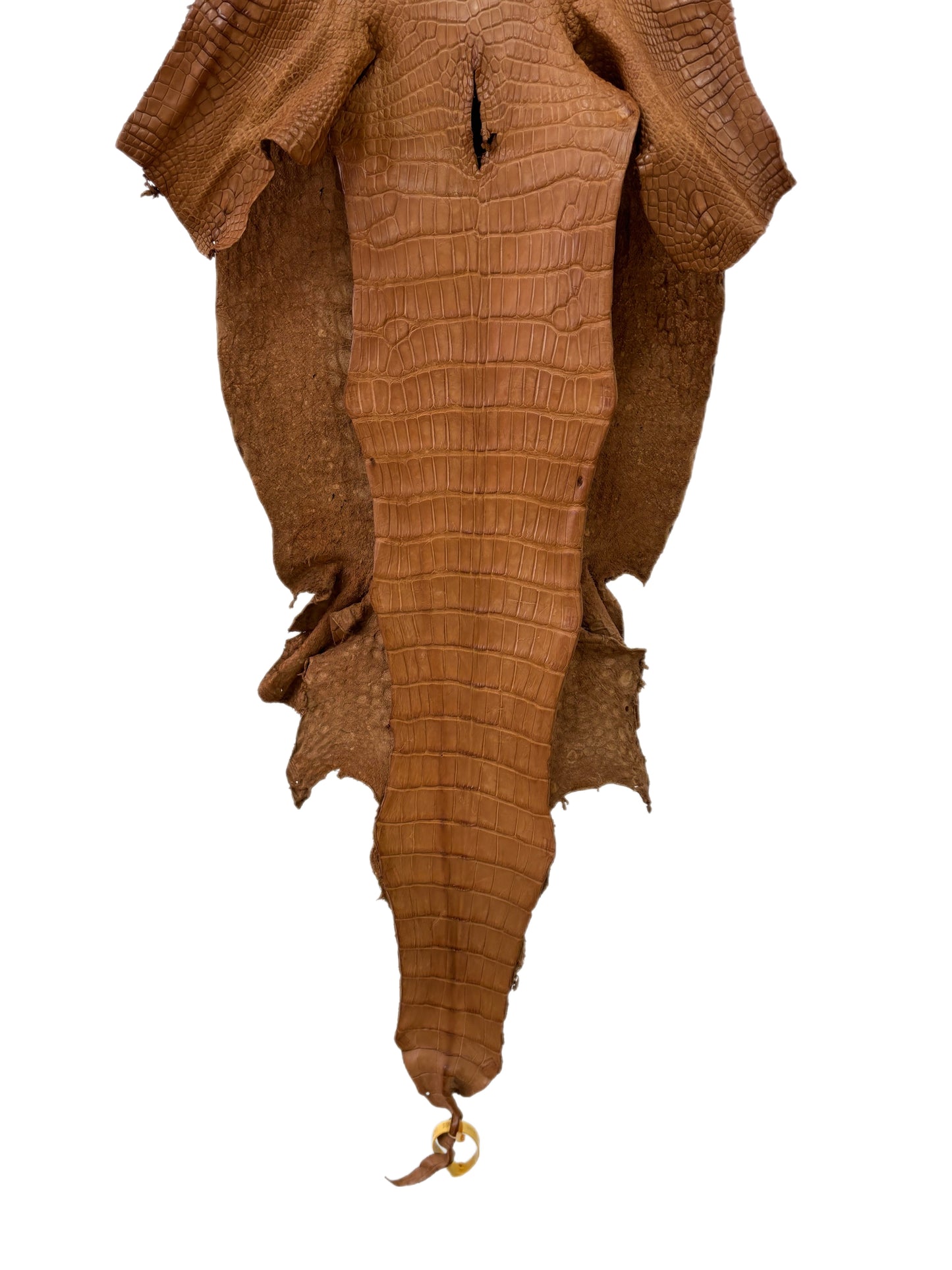 39 cm Grade 3/4 Almond Matte Wild American Alligator Leather - Tag: LA23-0027059