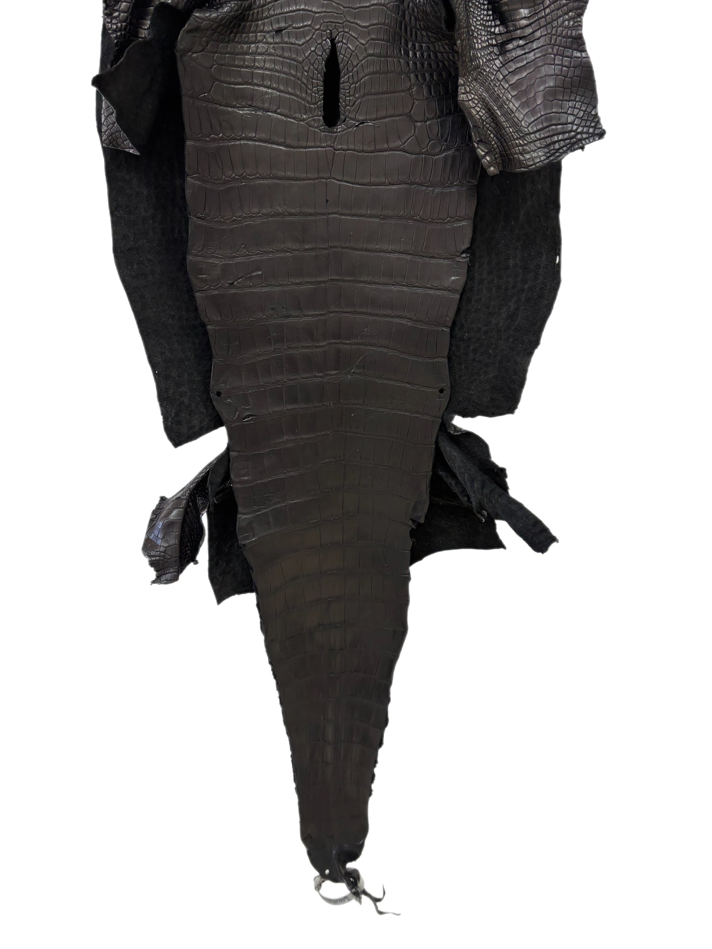 42 cm Grade 2/3 Black Matte Wild American Alligator Leather - Tag: LA23-0051974