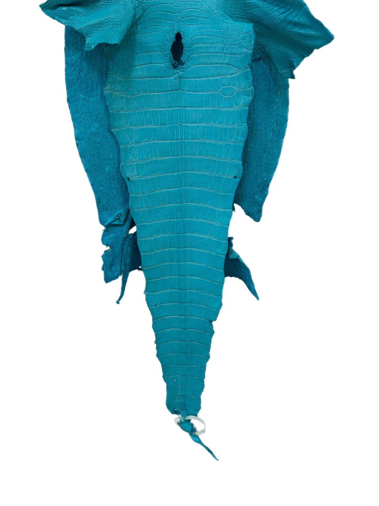 42 cm Grade 3/4 Turquoise Matte Wild American Alligator Leather - Tag: LA23-0007121