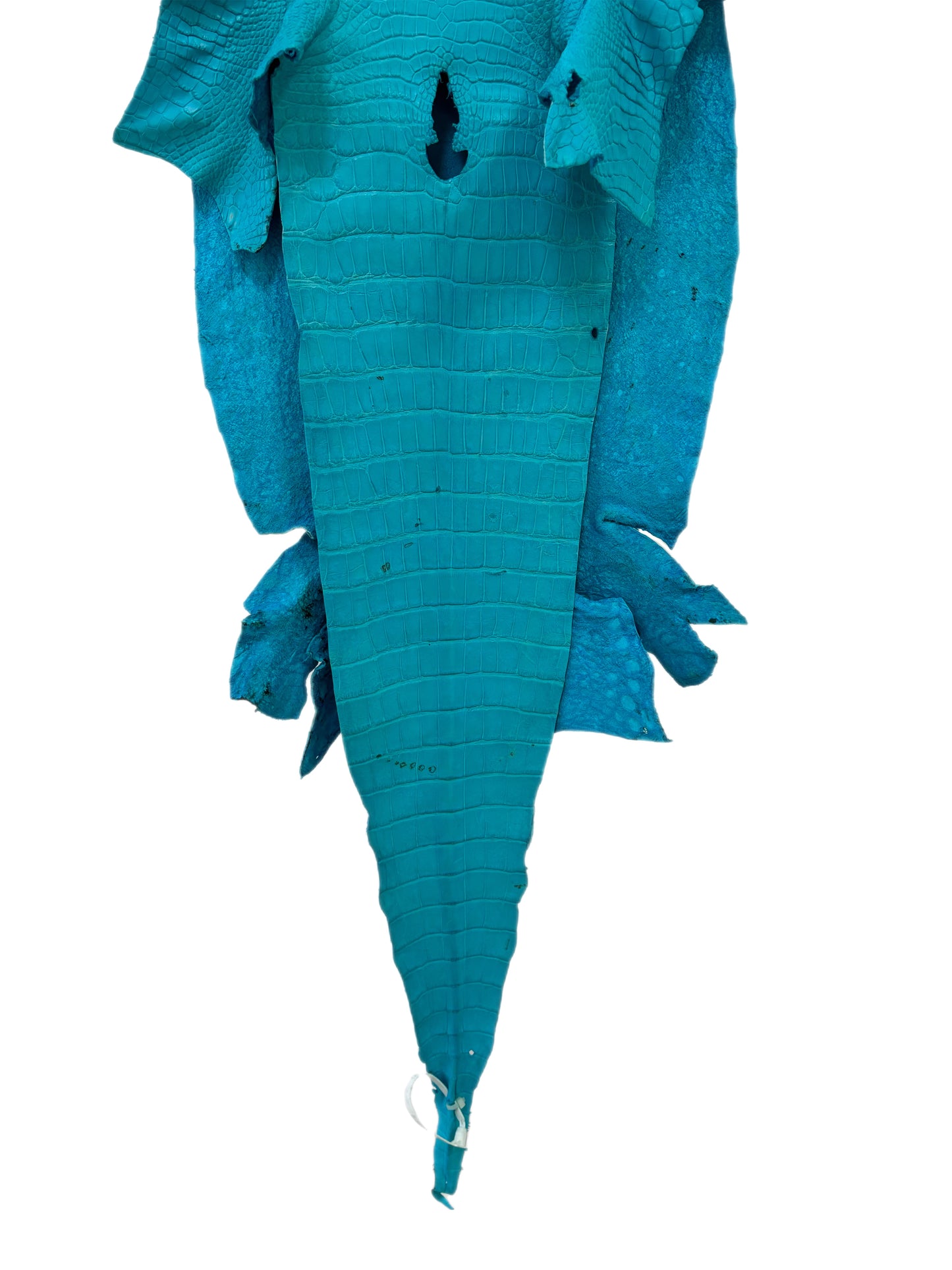 38 cm Grade 4/5 Turquoise Matte Wild American Alligator Leather - Tag: LA23-0007191