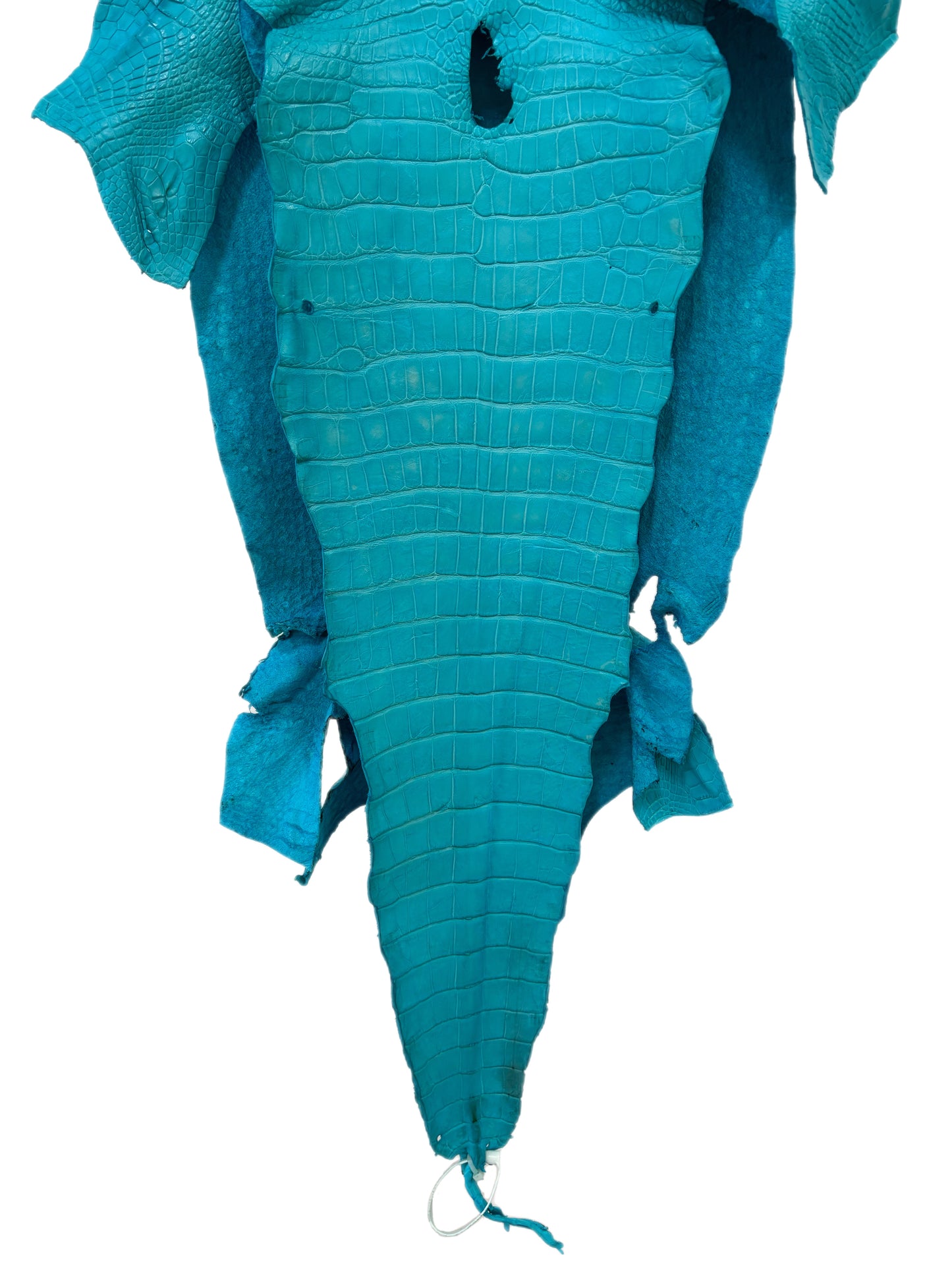 40 cm Grade 3/4 Turquoise Matte Wild American Alligator Leather - Tag: LA23-0022746
