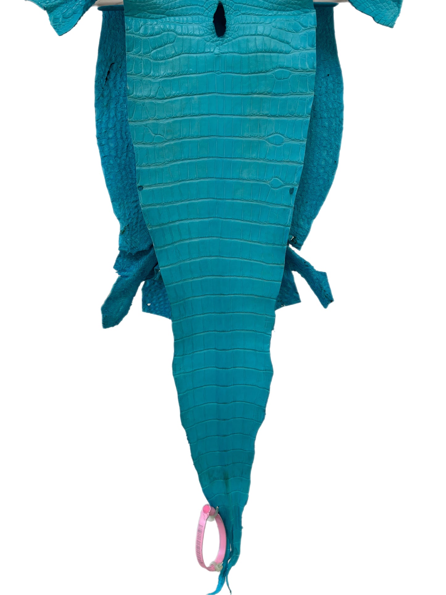 26 cm Grade 1/2 Turquoise Matte Farm-Raised American Alligator Leather - Tag: LA24-0228832