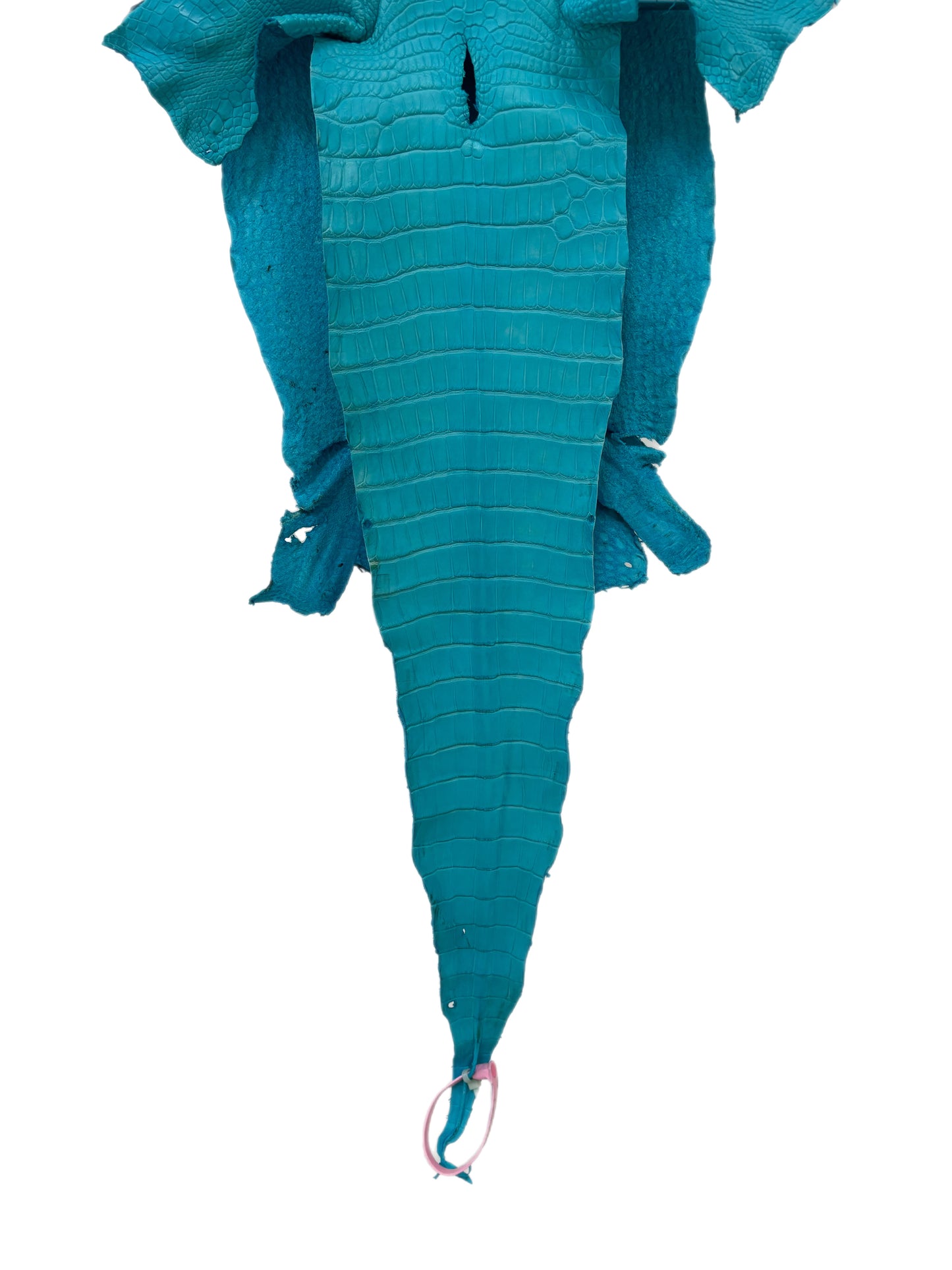 27 cm Grade 1/2 Turquoise Matte Farm-Raised American Alligator Leather - Tag: LA24-0228859
