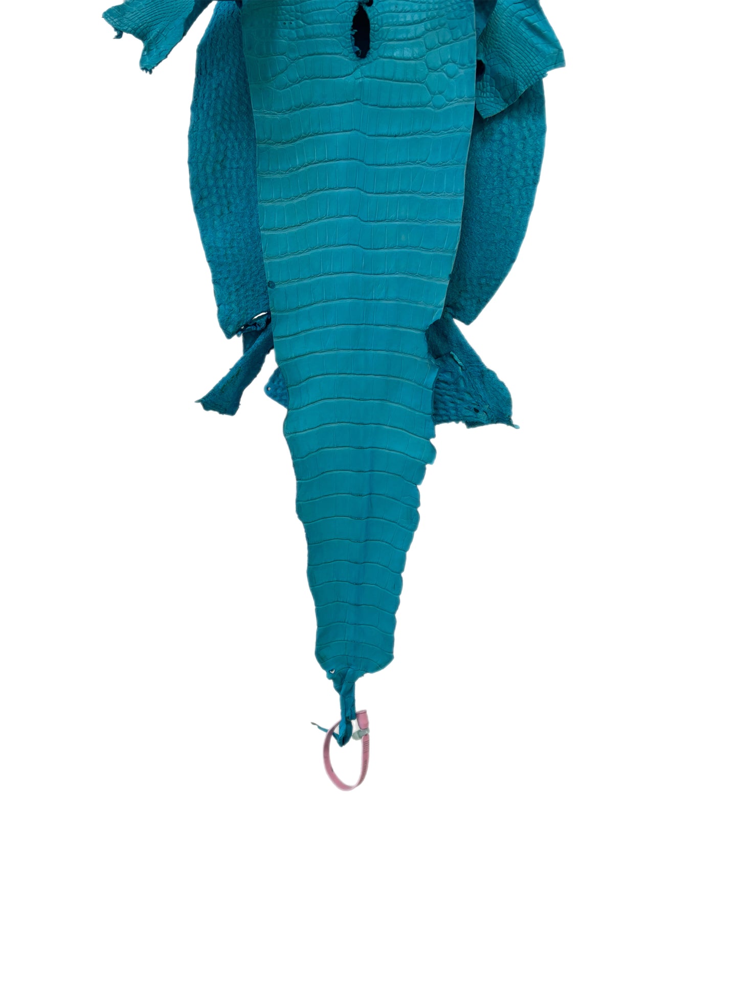 28 cm Grade 1/2 Turquoise Matte Farm-Raised American Alligator Leather - Tag: LA24-0228826