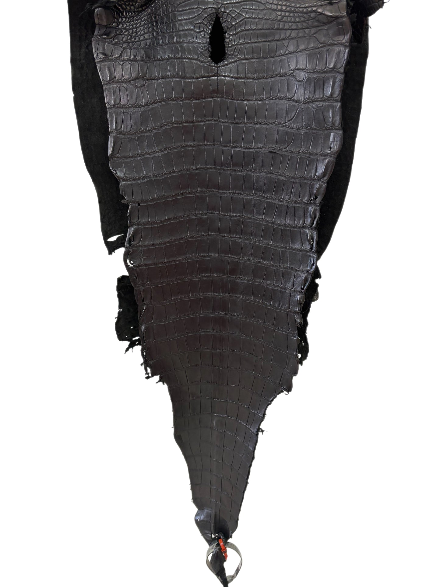 32 cm Grade 1/2 Black Matte Farm-Raised American Alligator Leather - Tag: LA23-0531747