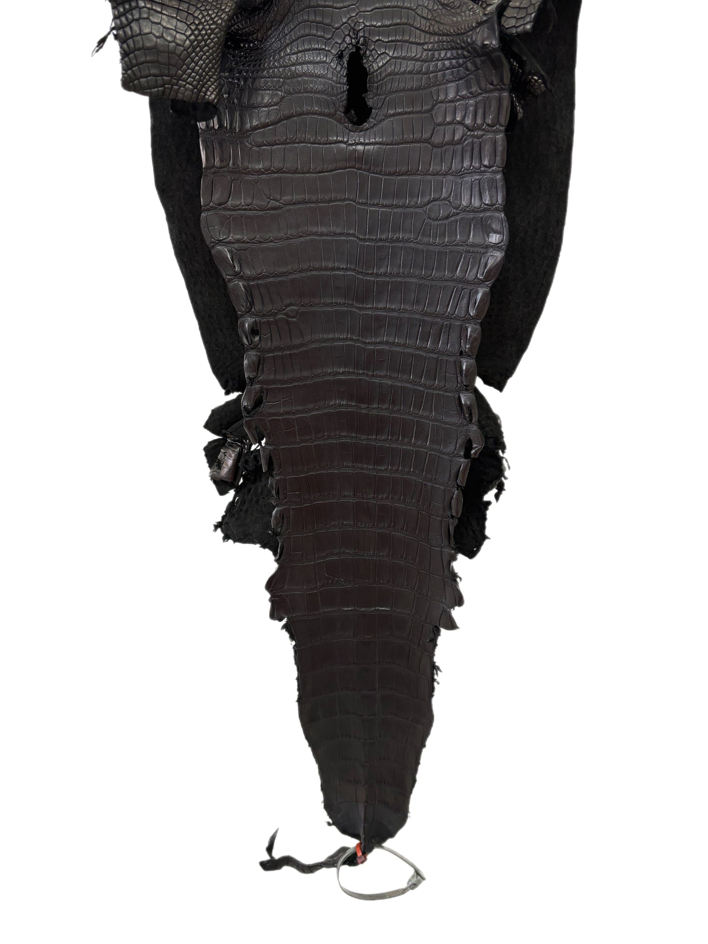 30 cm Grade 2/3 Black Matte Farm-Raised American Alligator Leather - Tag: LA23-0531475