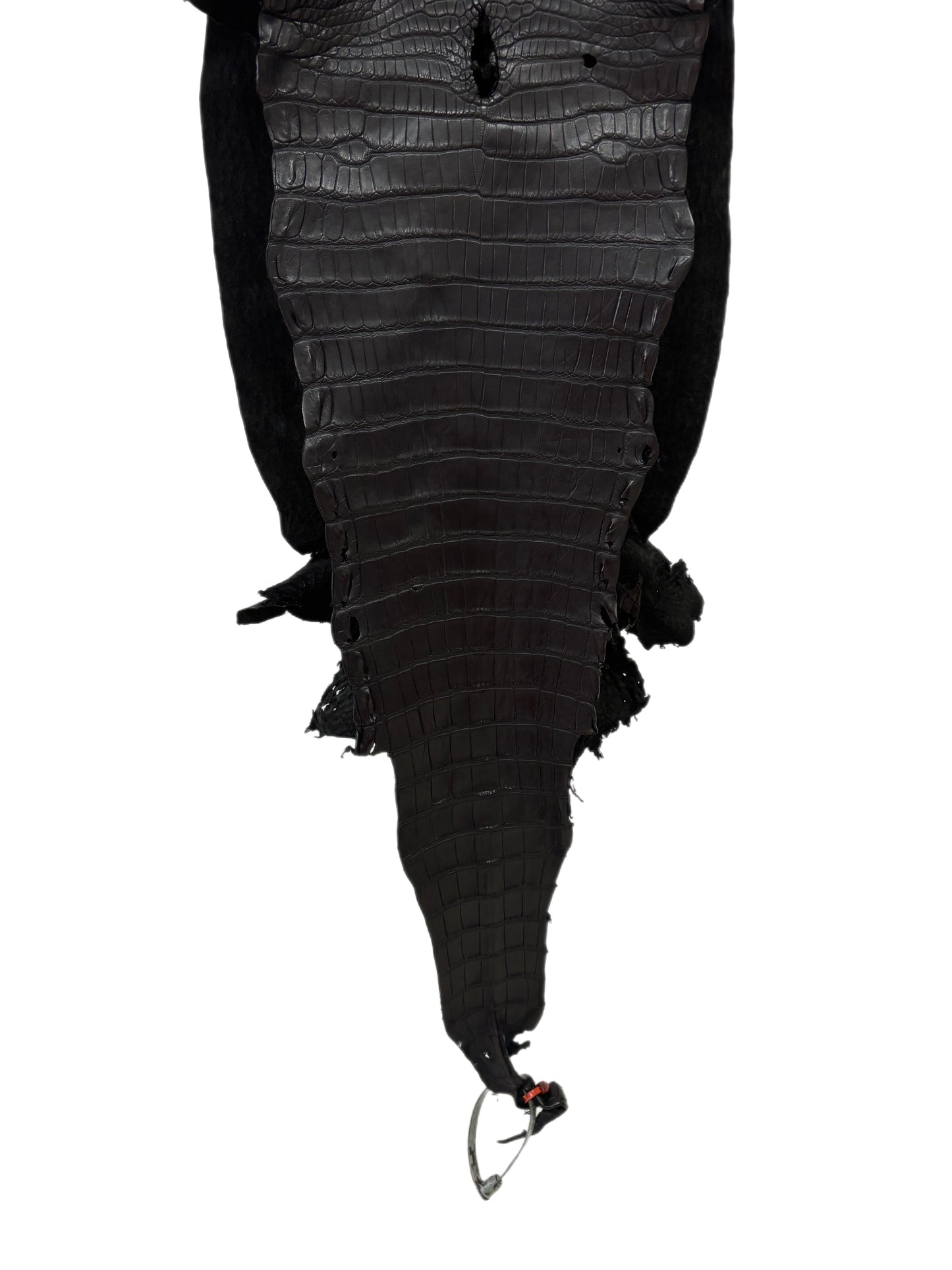 30 cm Grade 2/3 Black Matte Farm-Raised American Alligator Leather - Tag: LA23-0531616