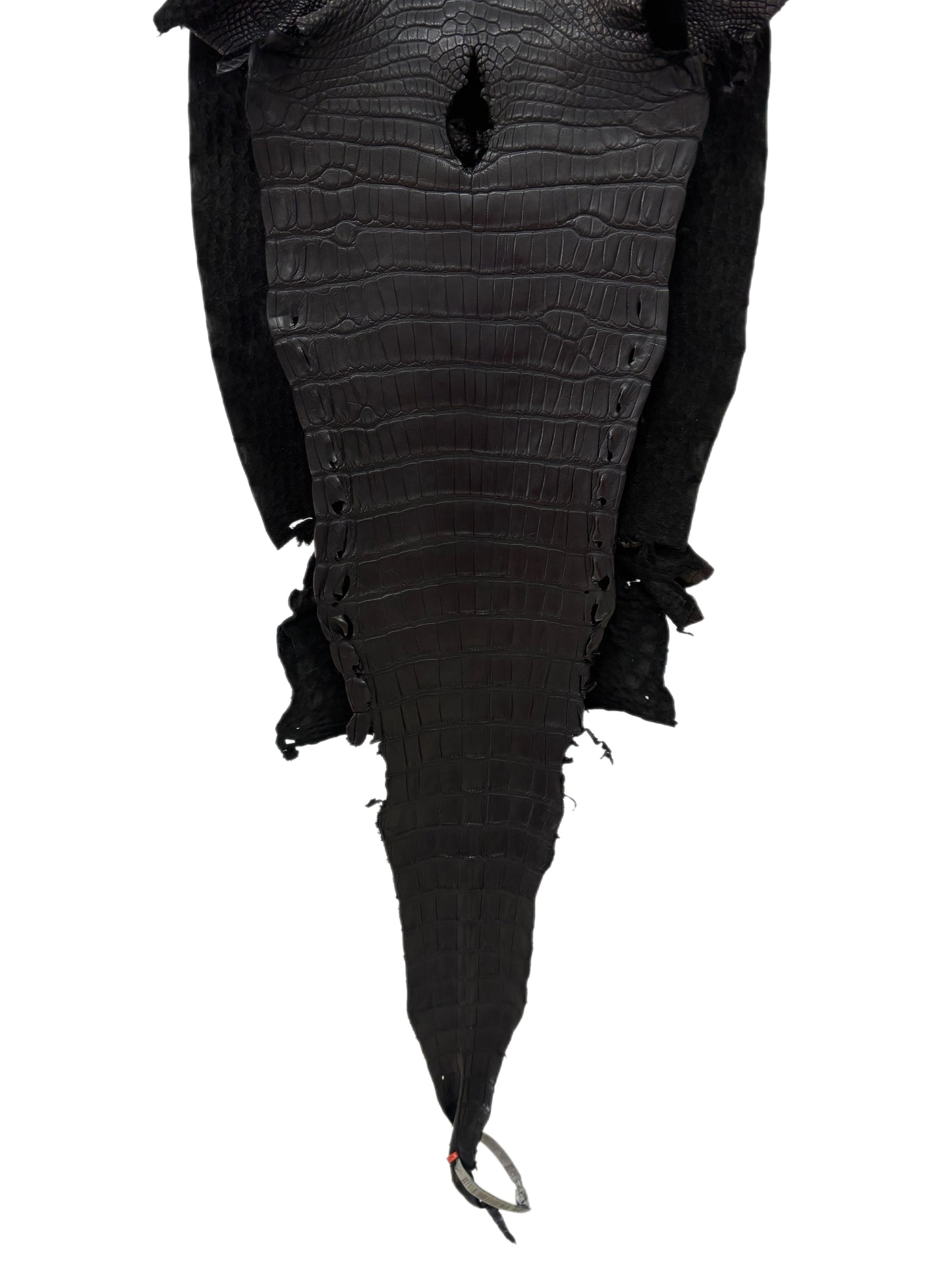 33 cm Grade 2/3 Black Matte Farm-Raised American Alligator Leather - Tag: LA23-0531086