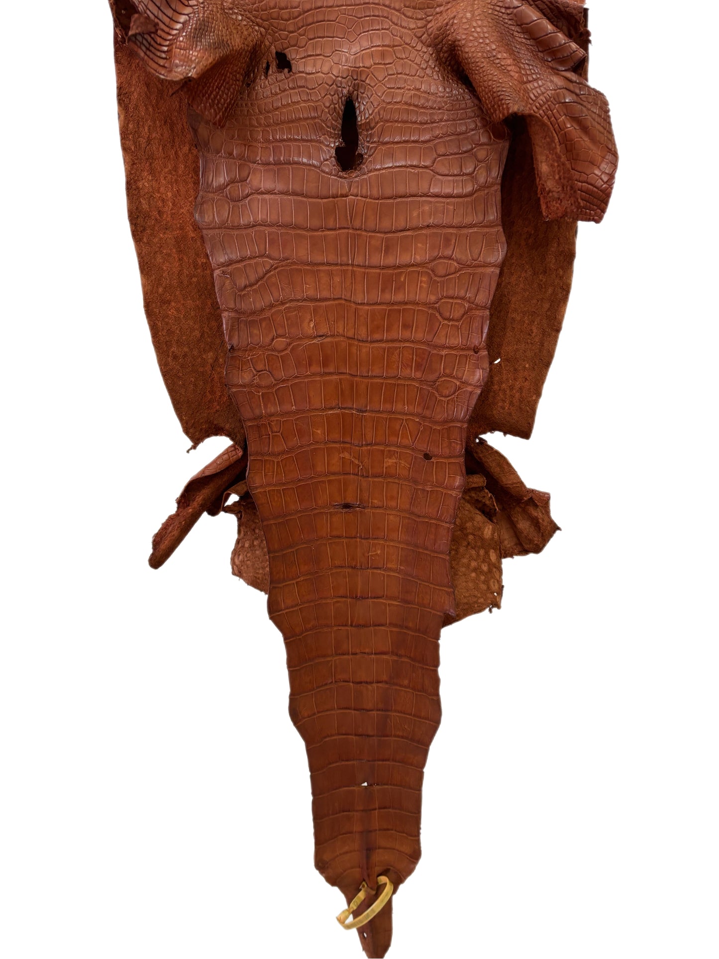 44 cm Grade 2/3 Cognac Matte Wild American Alligator Leather - Tag: LA23-0001902
