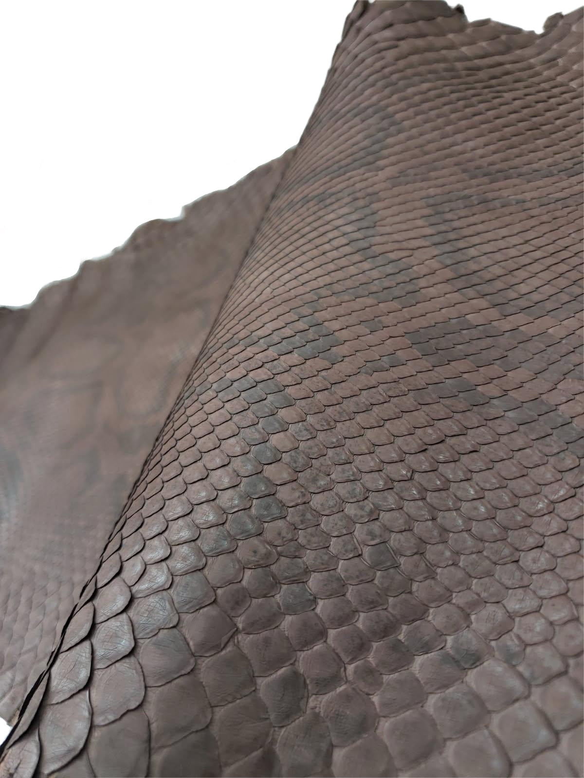 1.5 M Front Cut Walnut Matte Python Leather with Natural Markings