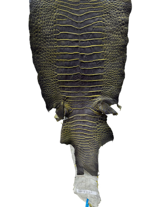 35 cm Grade 3/4 Voltage Matte Wild American Alligator Leather - Tag: ESRE-0050637