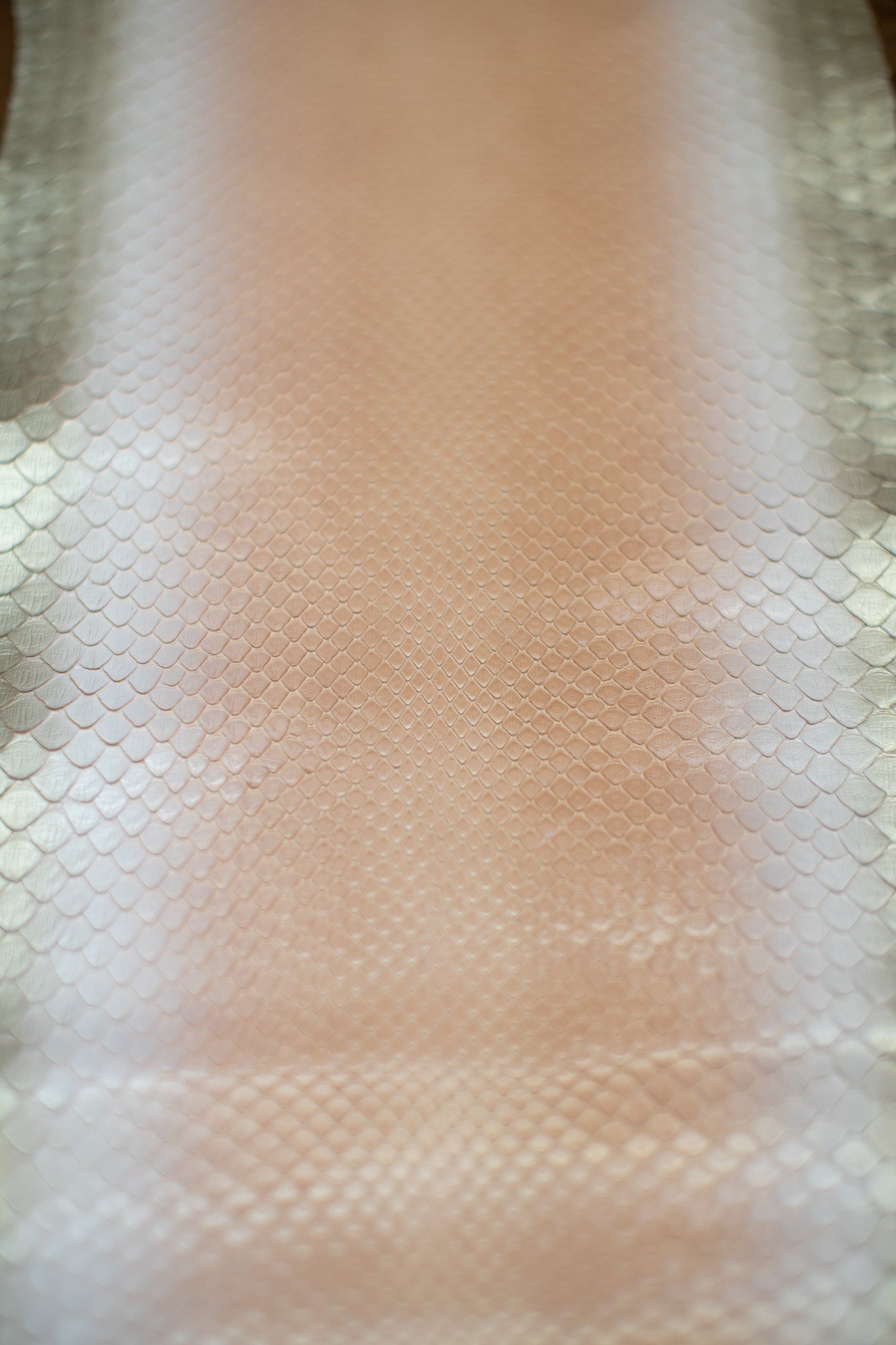 2.8 M Gold Pink and Cream Ombre Python Leather
