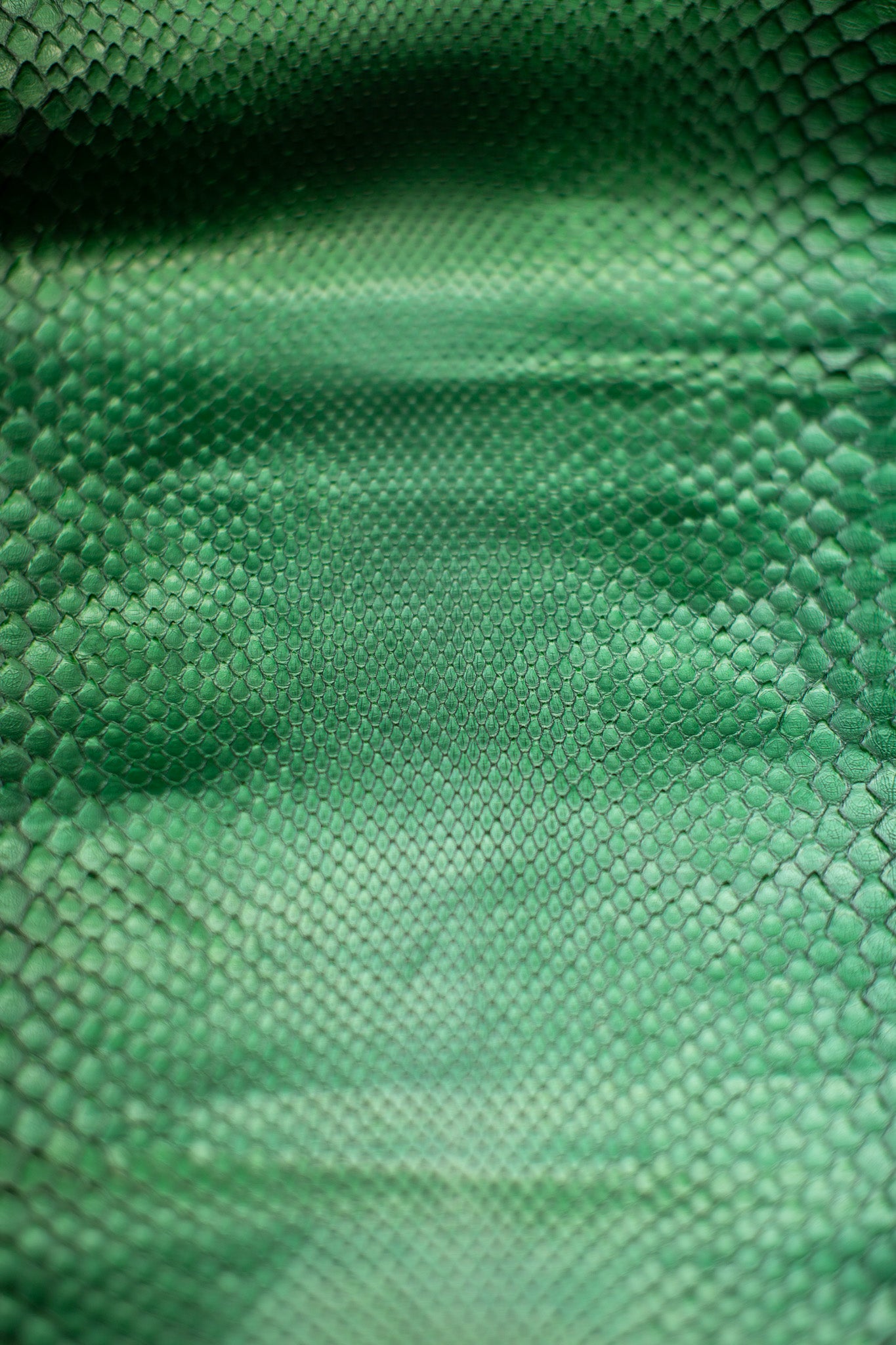 1.65 M Green Metallic Python Leather