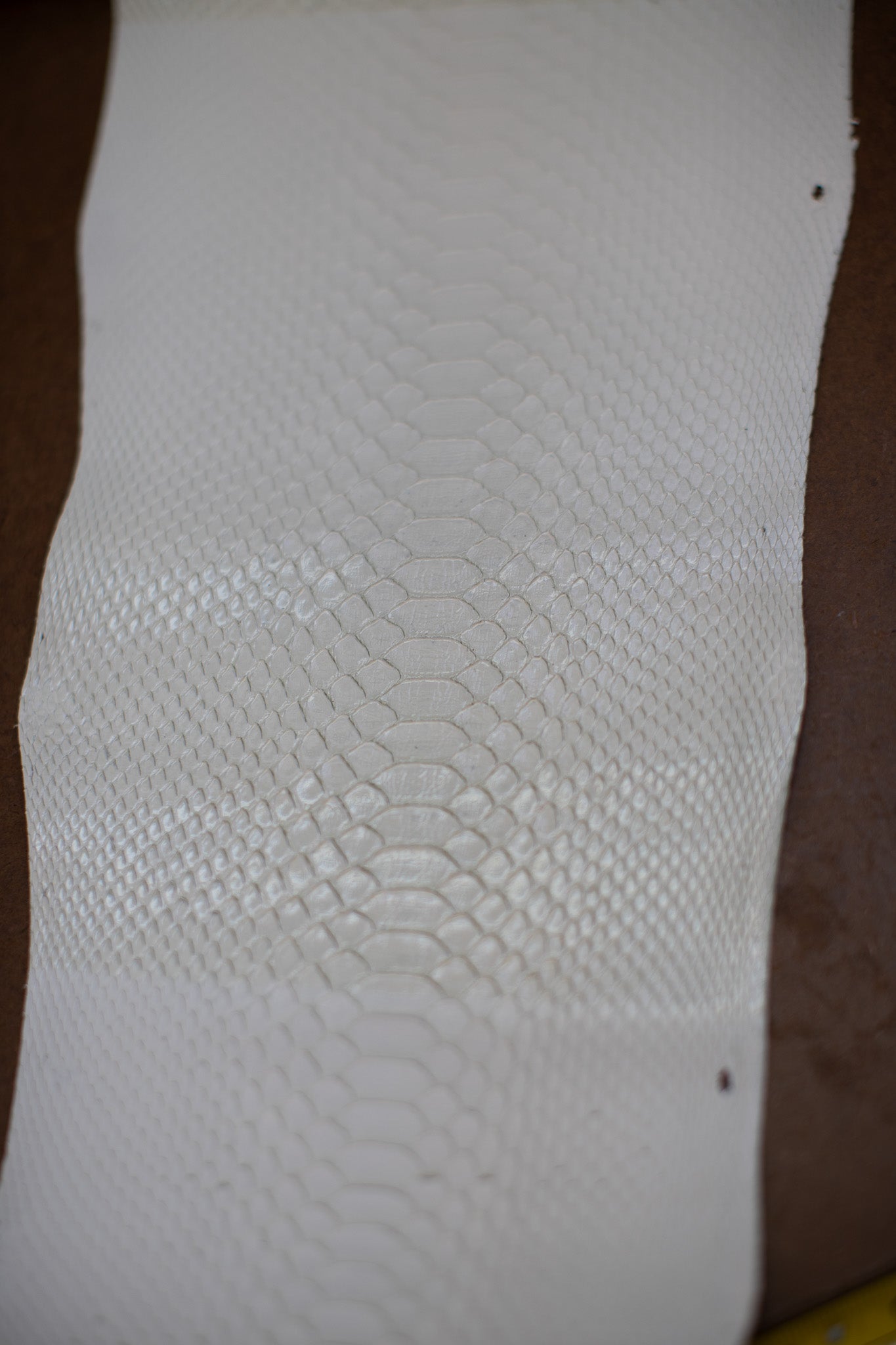 2.9 M White Mixed Finish Python Leather