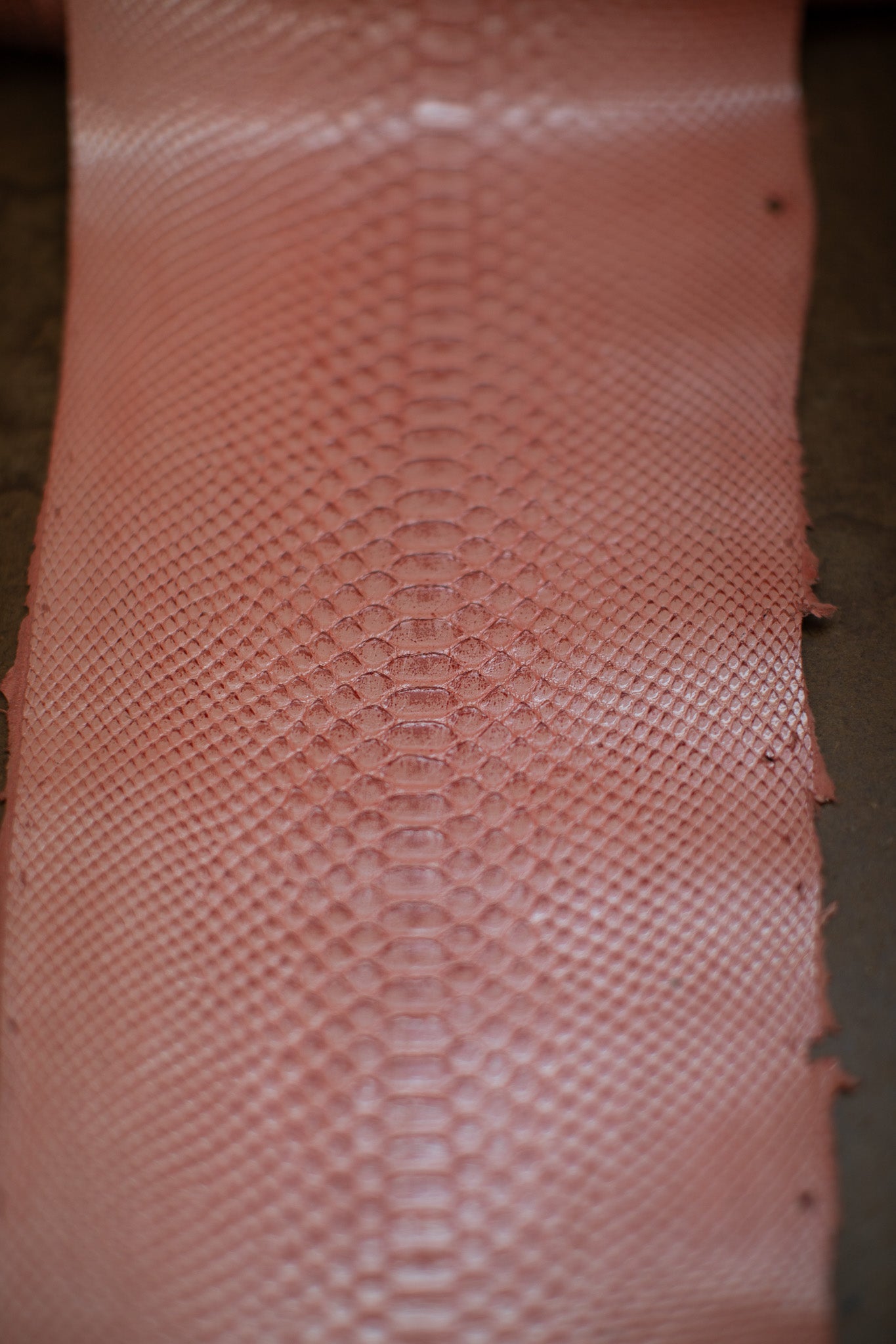 2.65 M Coral Glazed Python Leather
