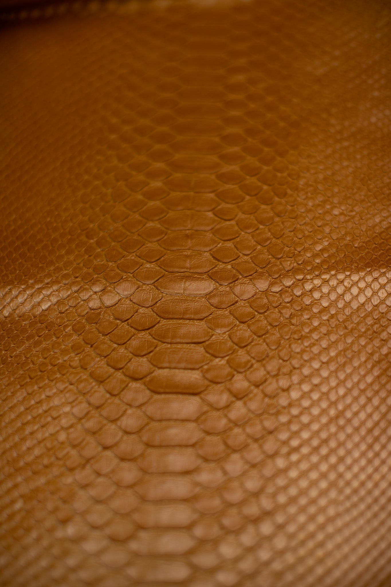 2.55 M Orange Metallic Python Leather