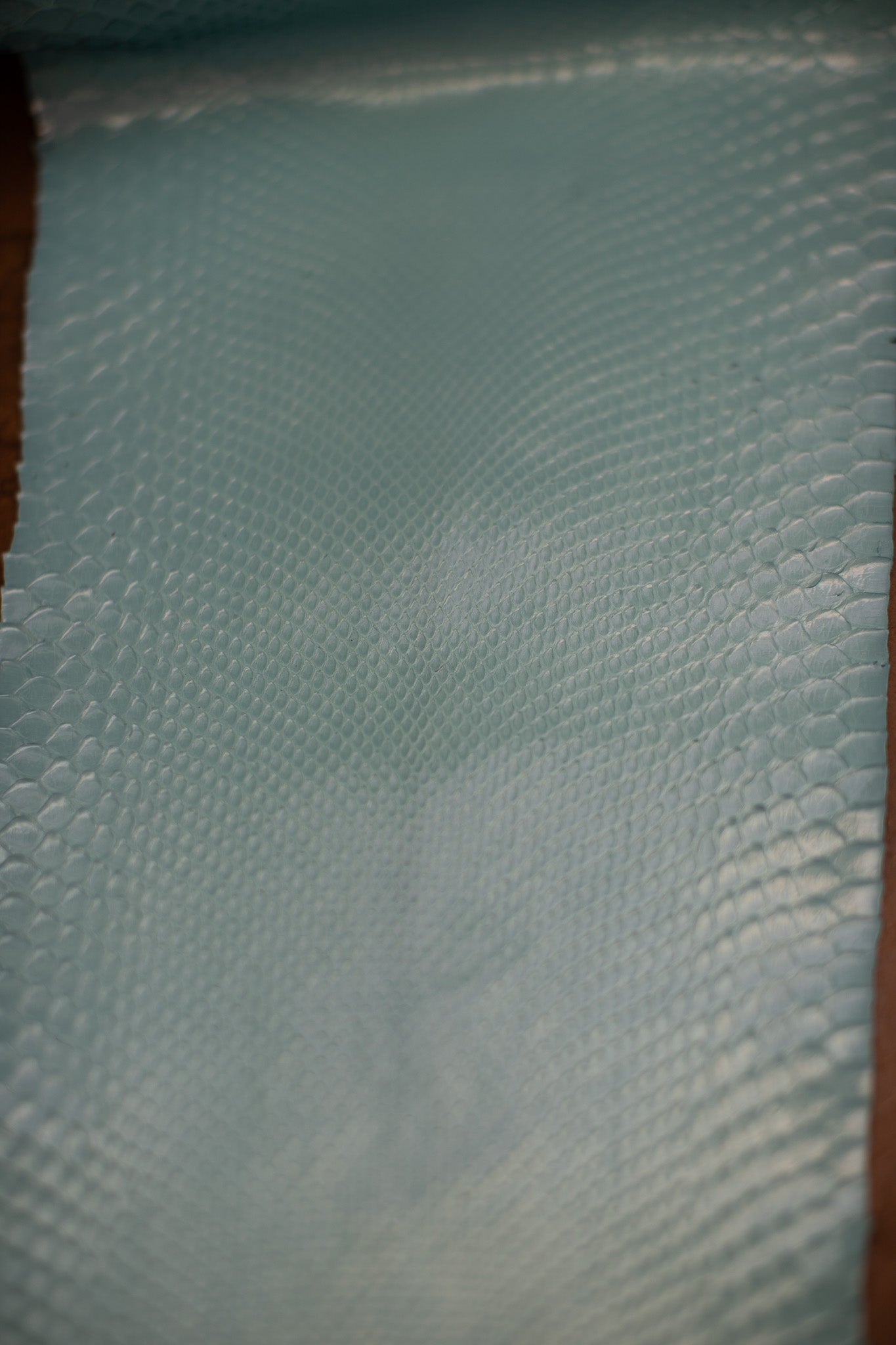 2.5 M Aqua Glazed Python Leather
