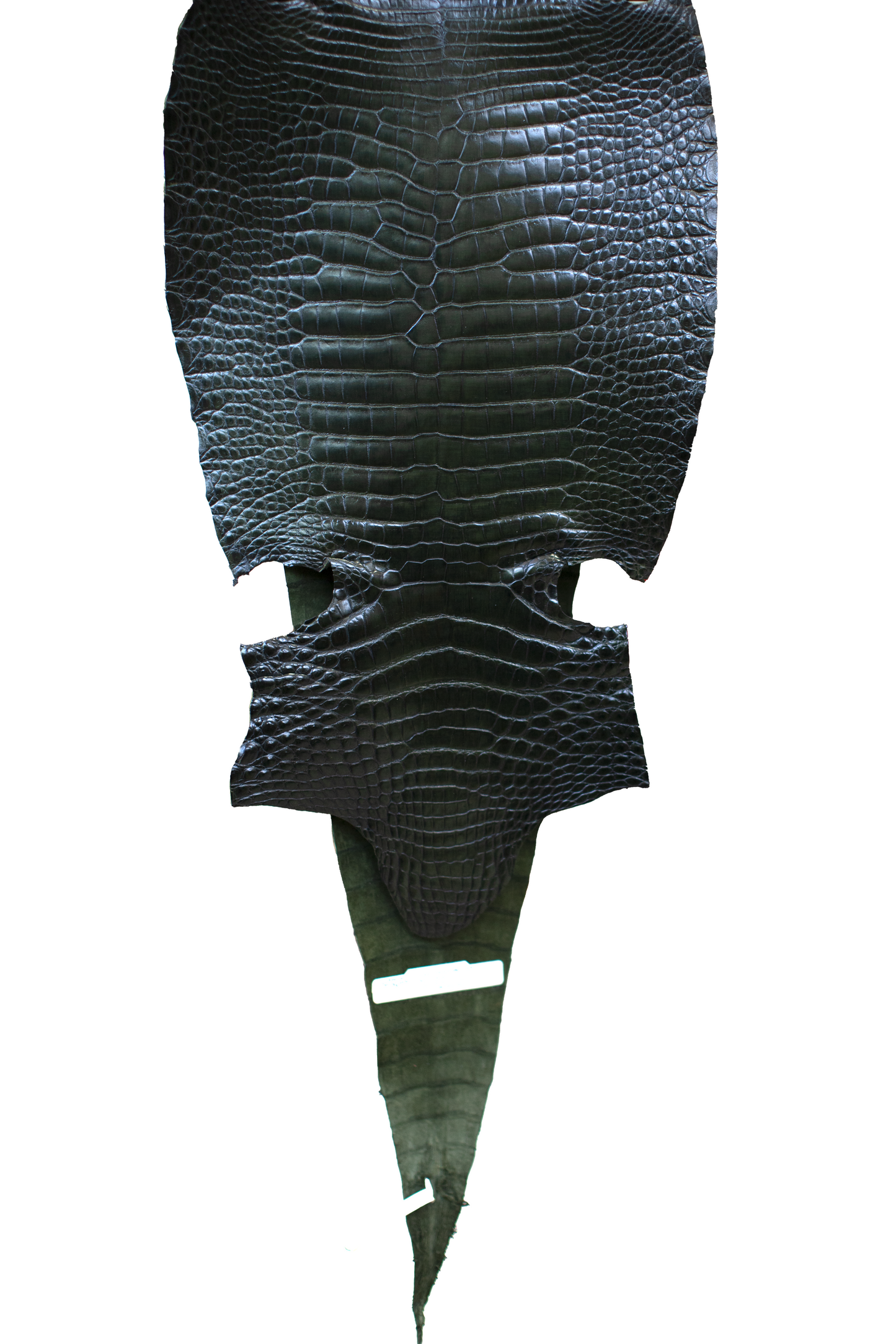 36 cm Grade 1/2 Racing Green Millennium Farm Raised American Alligator Leather