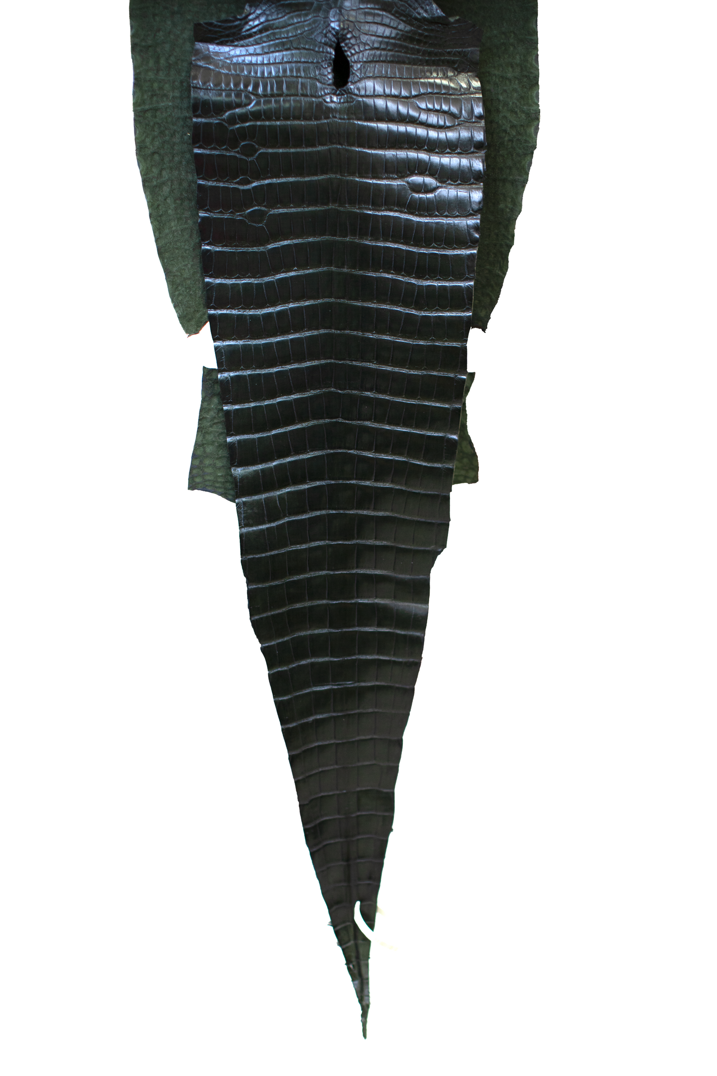 36 cm Grade 1/2 Racing Green Millennium Farm Raised American Alligator Leather