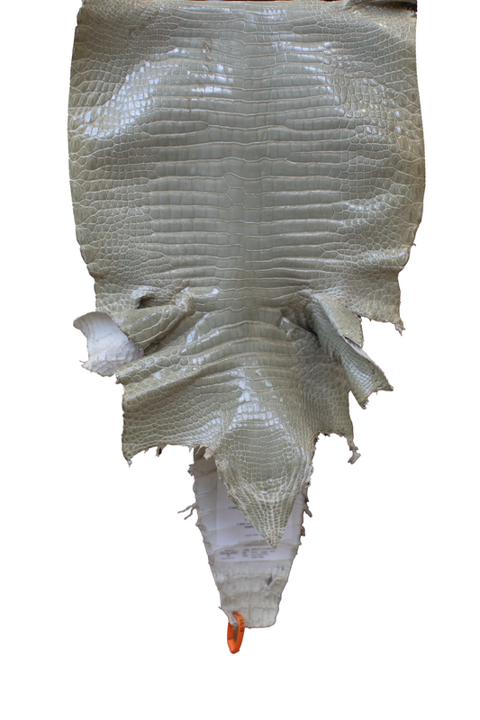 Oatmeal Glazed Porosus Crocodile Leather