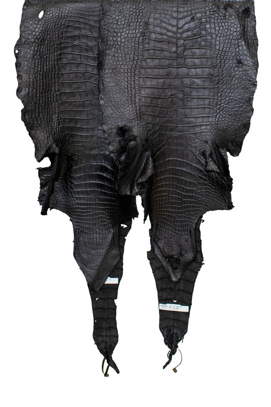 REJECTS | 47-51 cm Grade 4/5 and Better Black Matte Wild American Alligator Leather