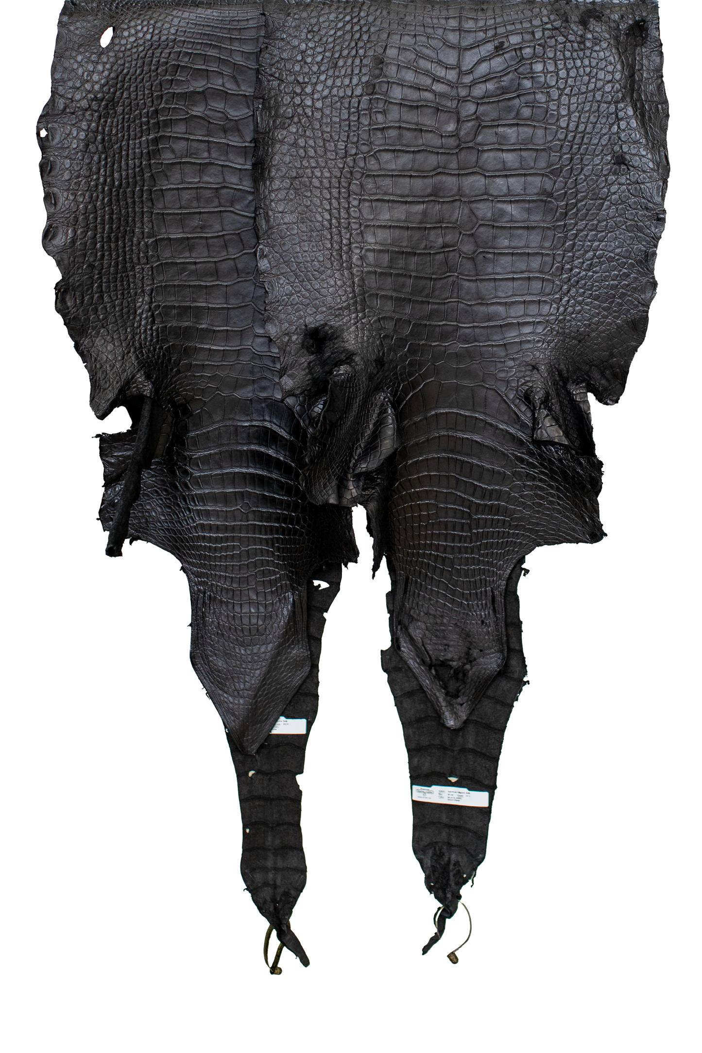 REJECTS | 47-51 cm Grade 4/5 and Better Black Matte Wild American Alligator Leather