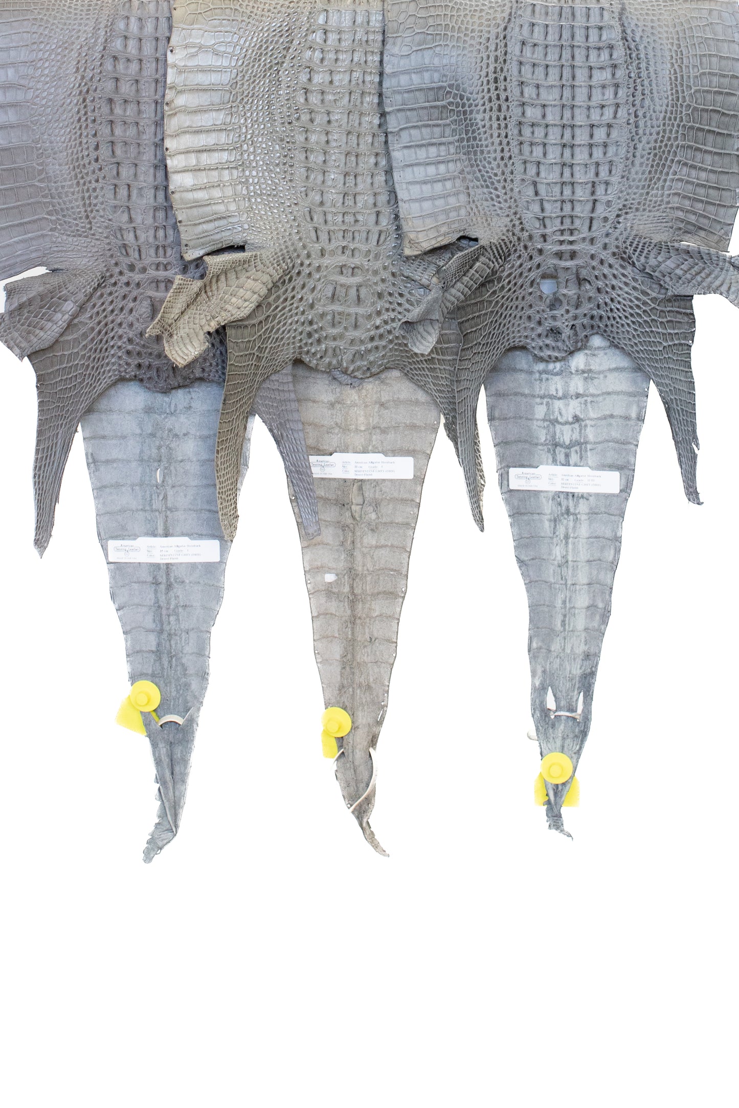 35/39 cm Grade 1/2 Serpentine Grey Matte Farm Raised Hornback American Alligator Leather