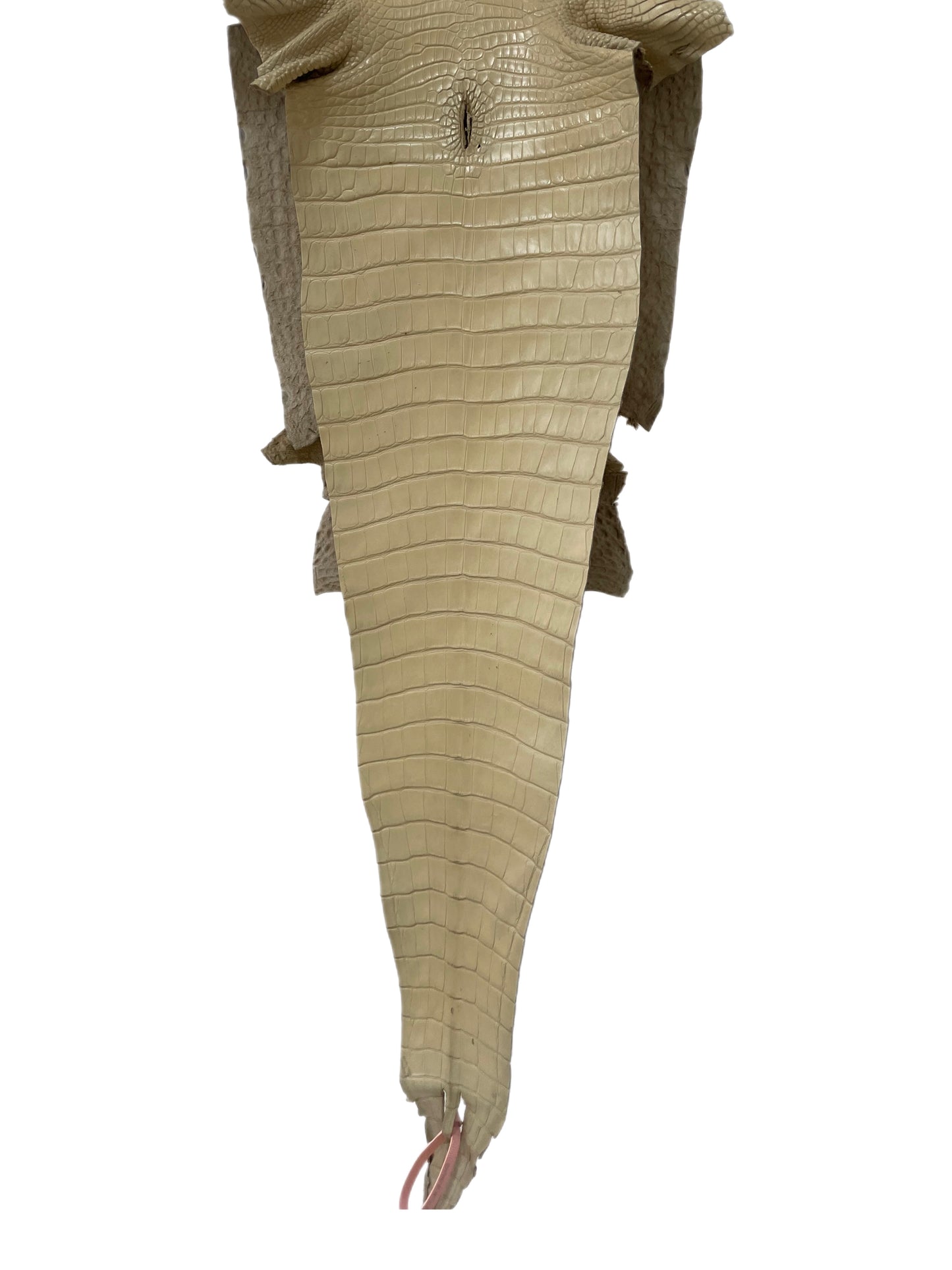 35 cm Grade 2/3 Magnolia Matte Farm Raised American Alligator Leather - Tag: FL18-0034543