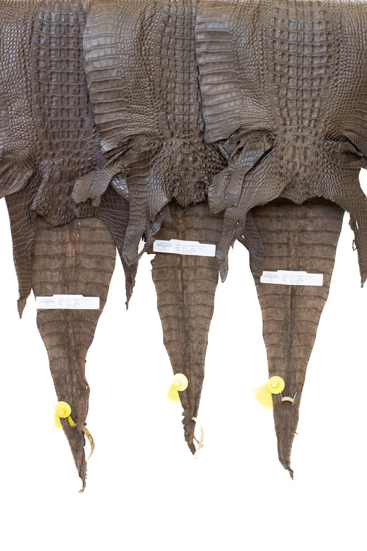 30/34 cm Grade 1 Nicotine Matte Farm Raised Hornback American Alligator Leather