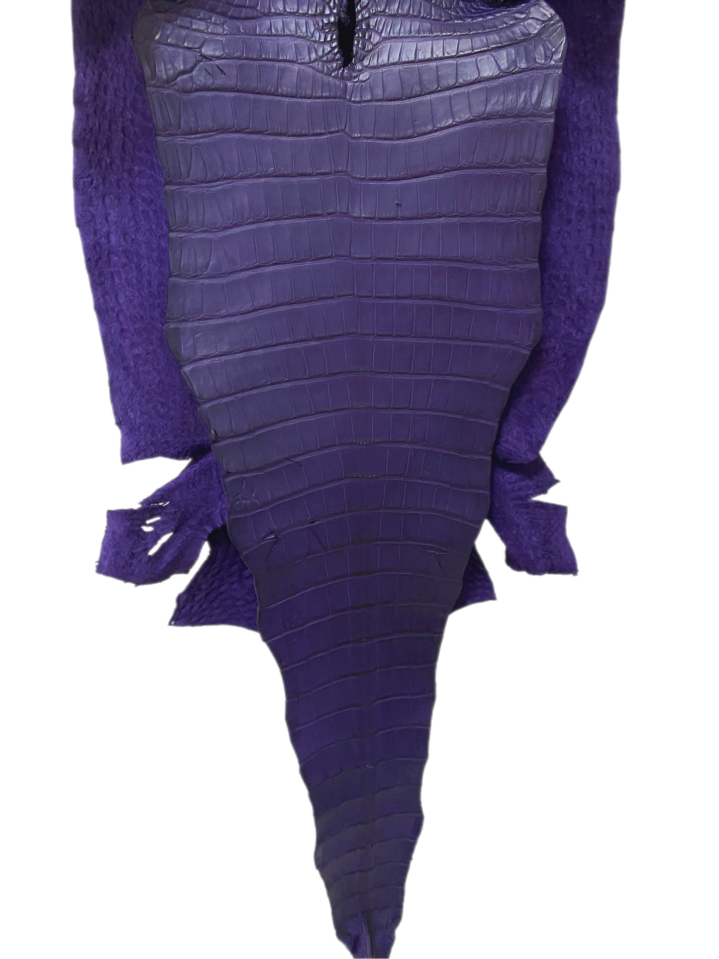 39 cm Grade 2/3 Violet Primavera Matte Farm Raised American Alligator Leather - Tag: FL17-0036112