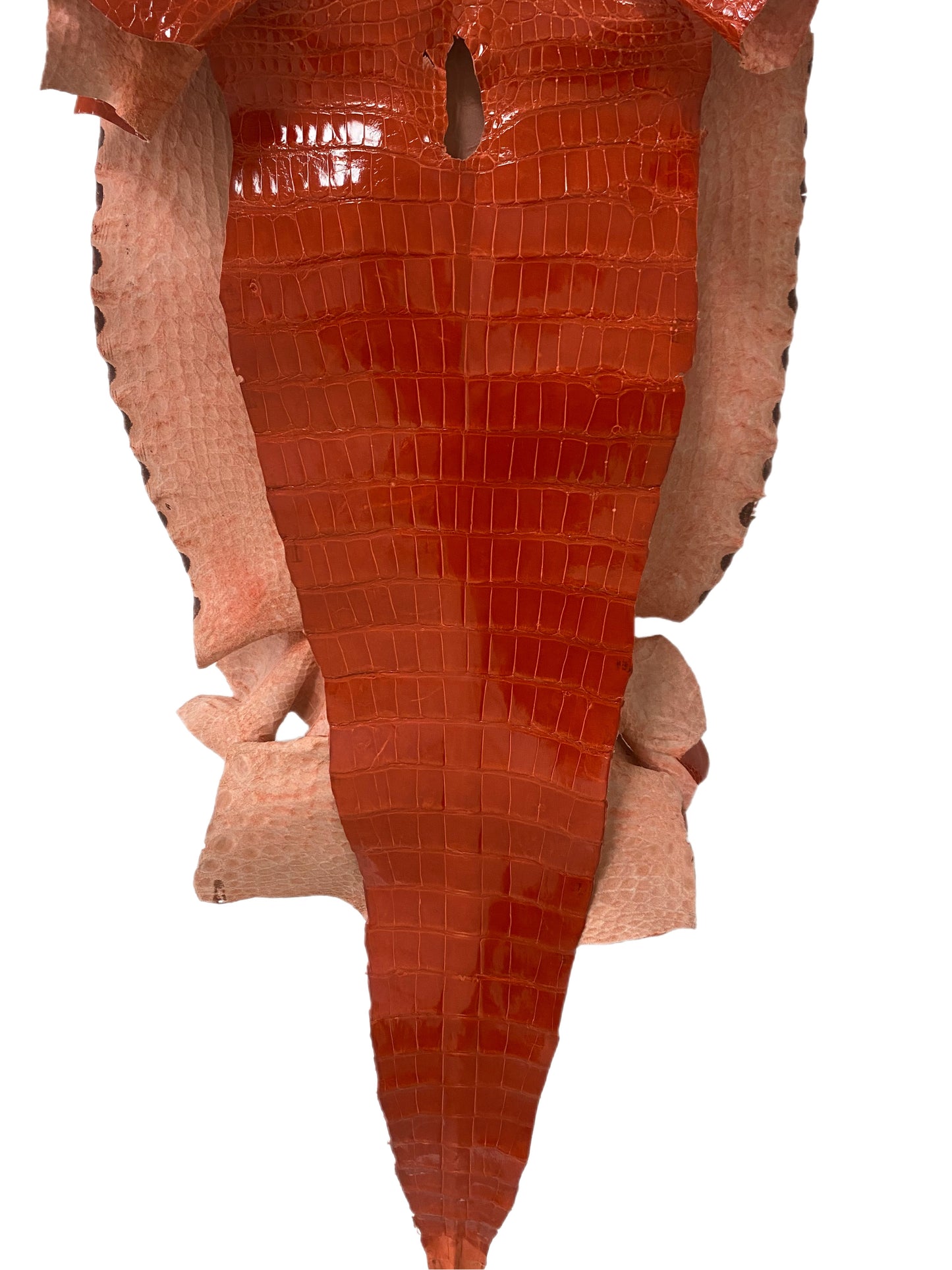 55 cm Grade 2/3 Mandarina Glazed Wild American Alligator Leather - Tag: LA14-0035089