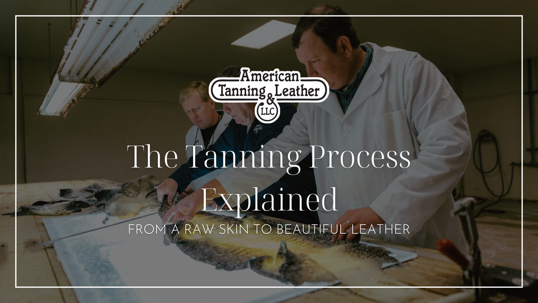 How to Tan Alligator Hide | Leather Processing โ AMTAN