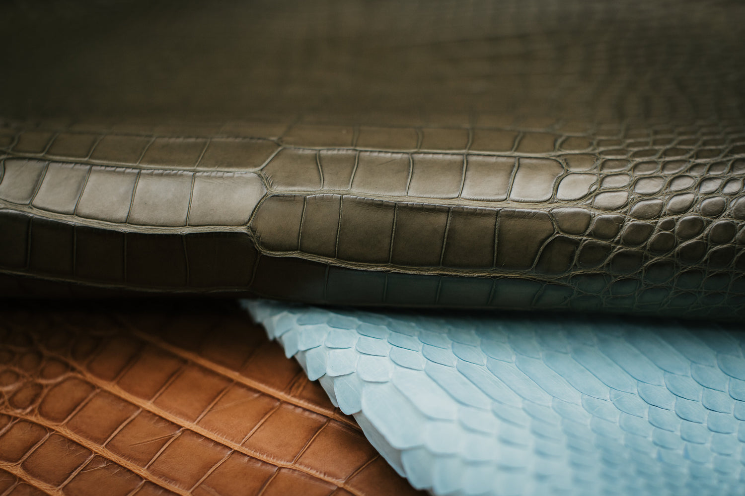 Loden Green Matte Alligator Leather