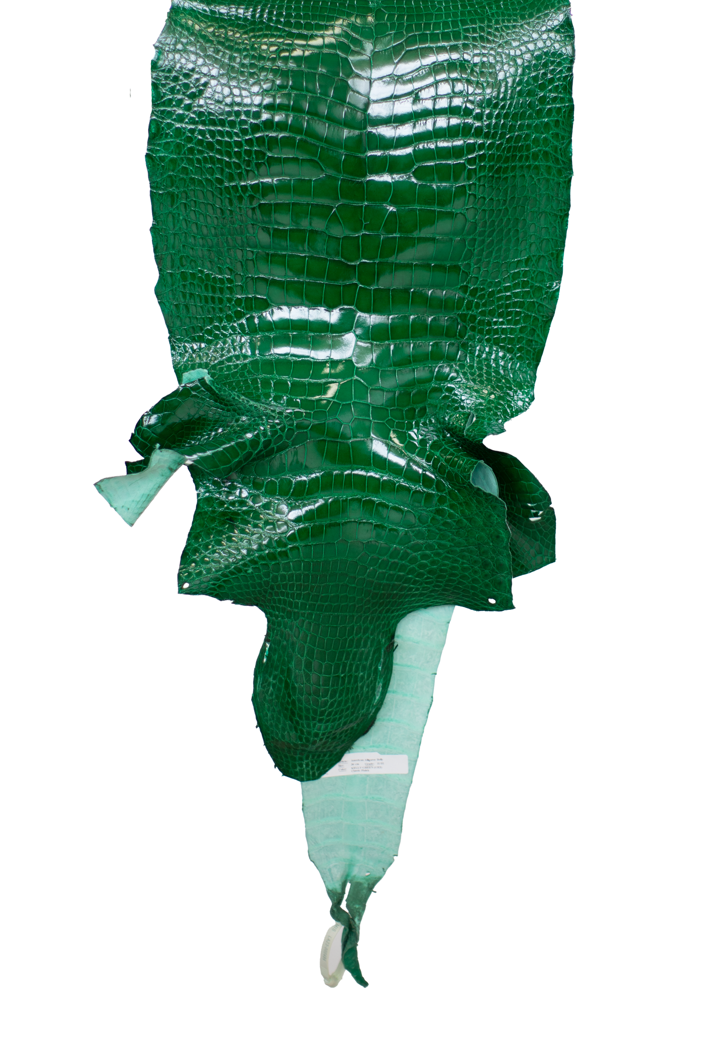 36 cm Grade 2/3 Kelly Green Glazed Farm Raised American Alligator Leather - Tag: LA23-0000484